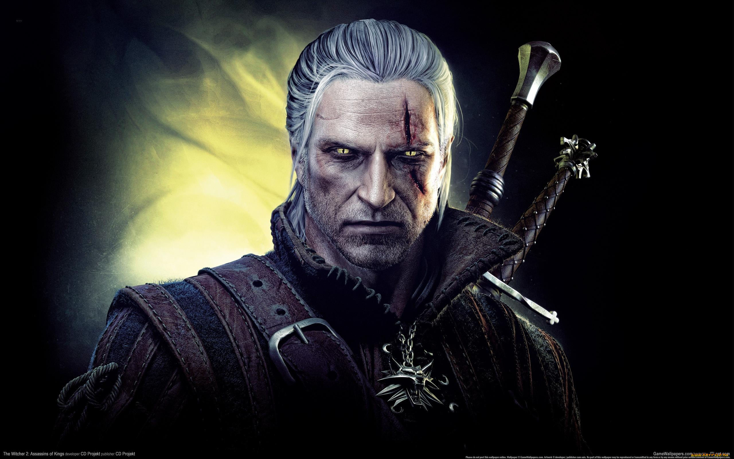 the, witcher, assassins, of, kings, видео, игры