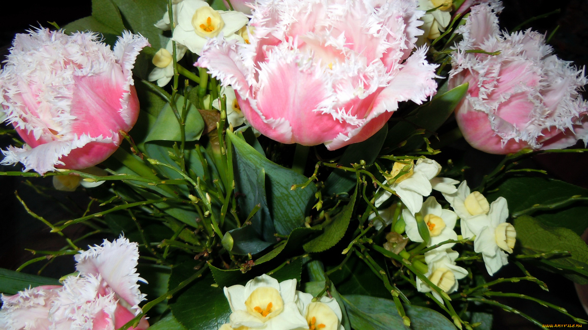 цветы, разные, вместе, букет