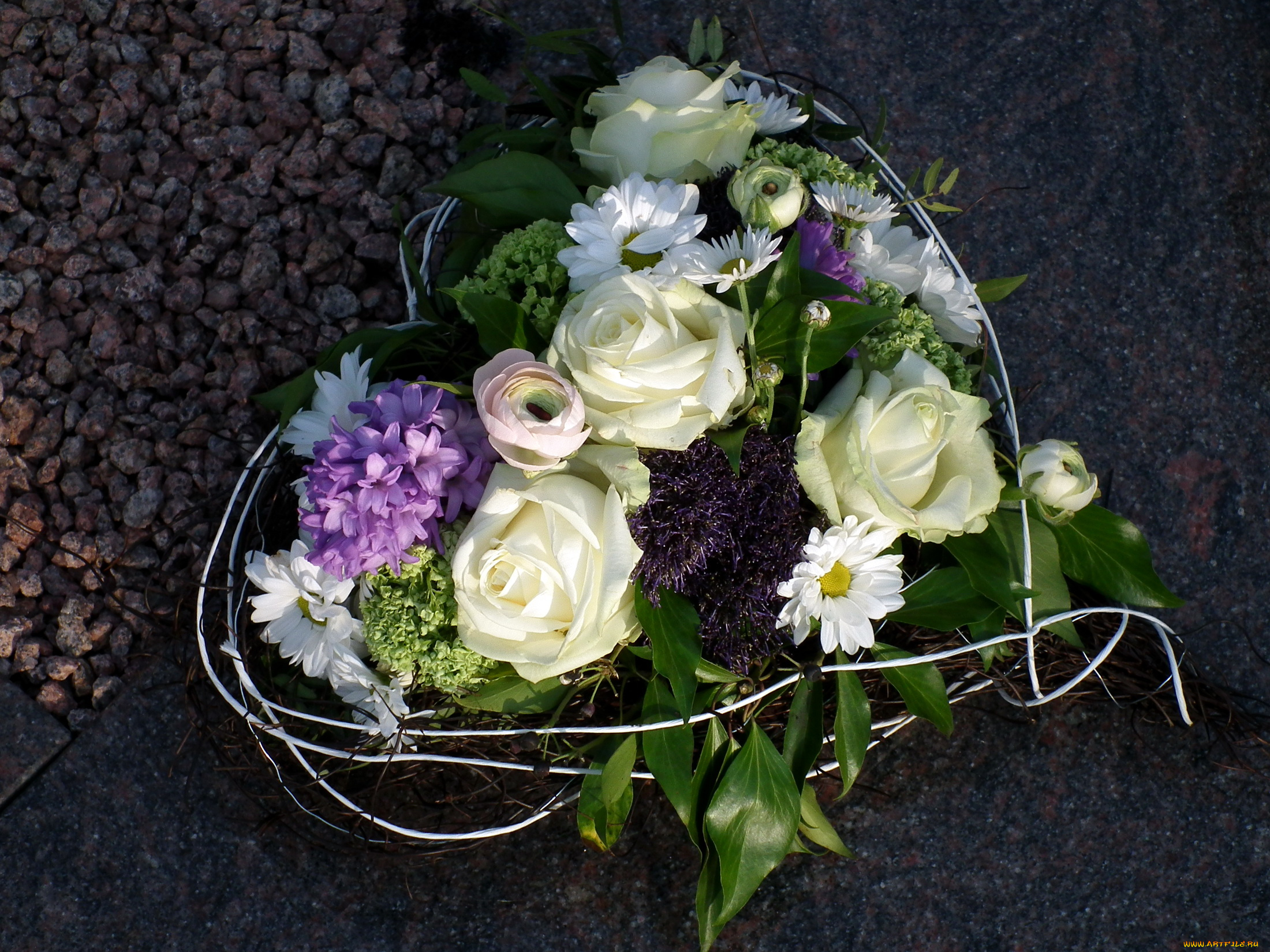 цветы, букеты, композиции, сирень, ромашки, розы