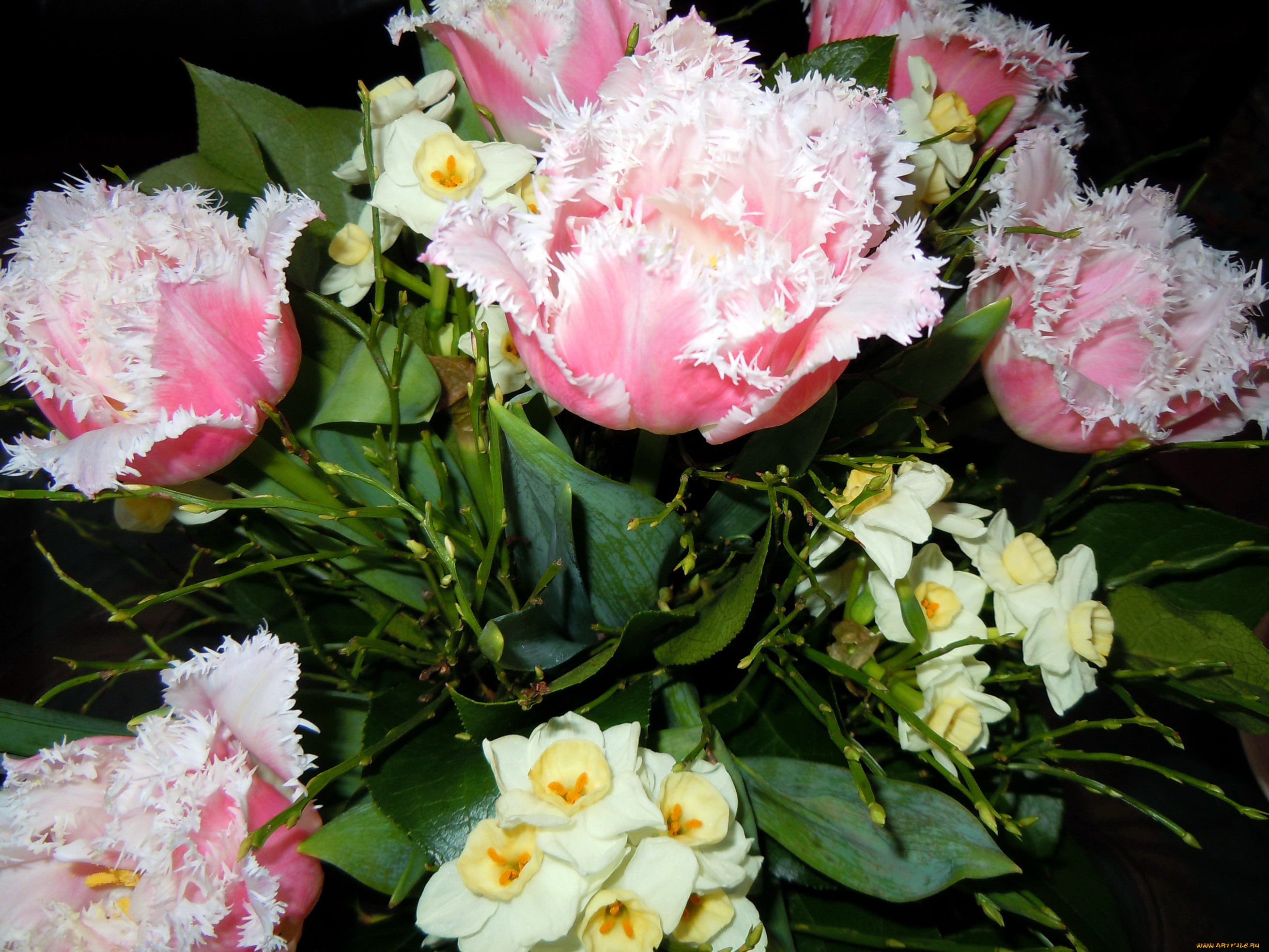 цветы, разные, вместе, букет