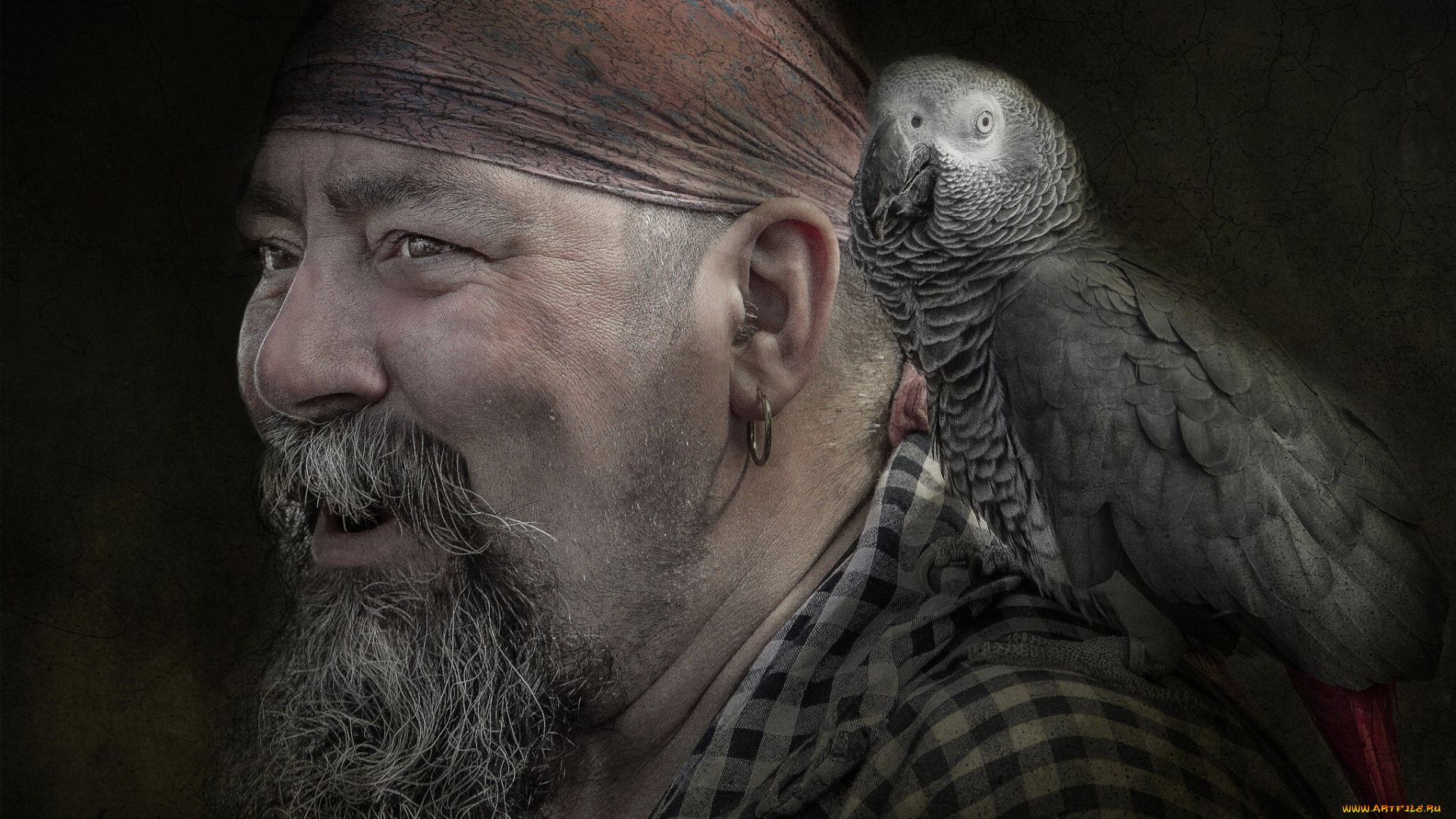 мужчины, unsort, пират, попугай