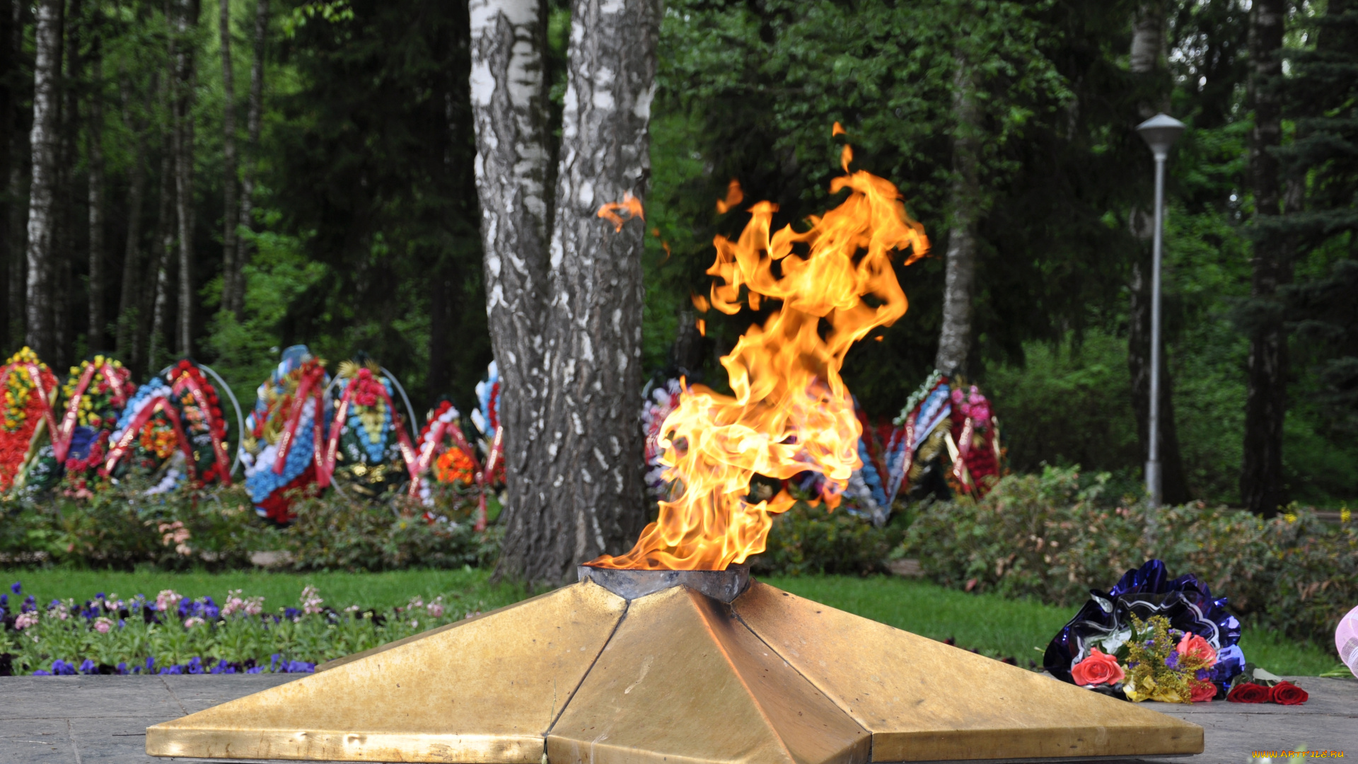 праздничные, день, победы, венки, вечный, огонь, цветы