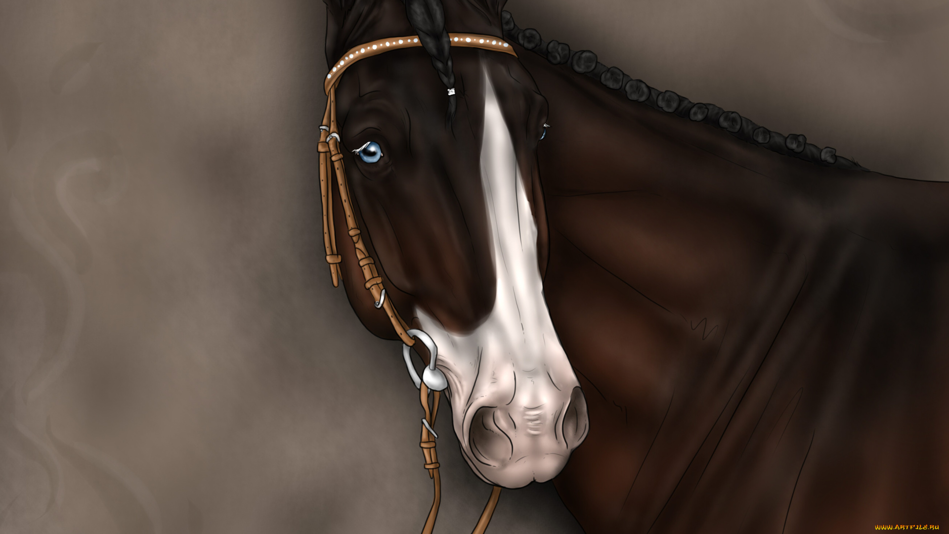 рисованные, животные, лошади, лошадь