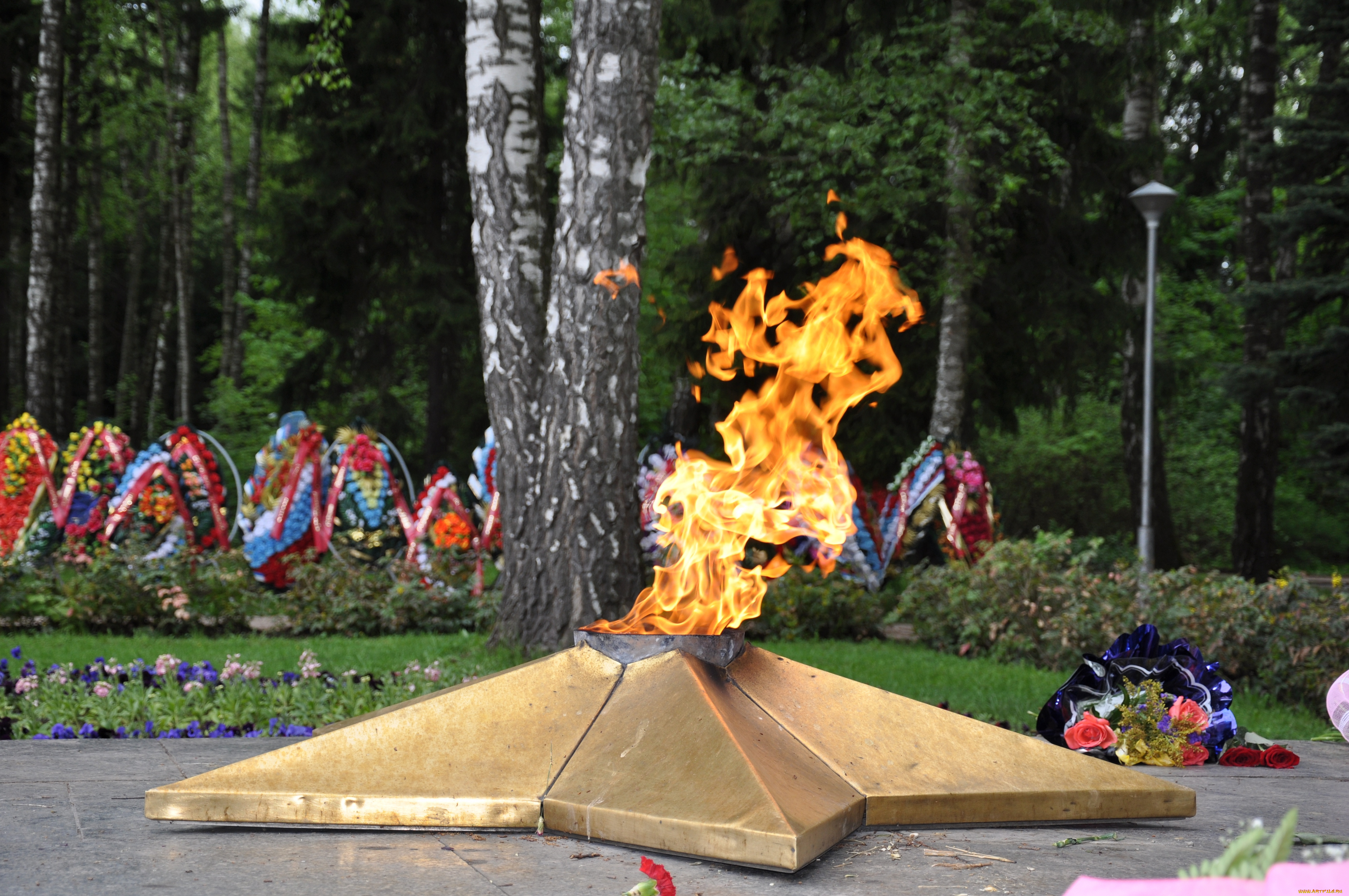 праздничные, день, победы, венки, вечный, огонь, цветы