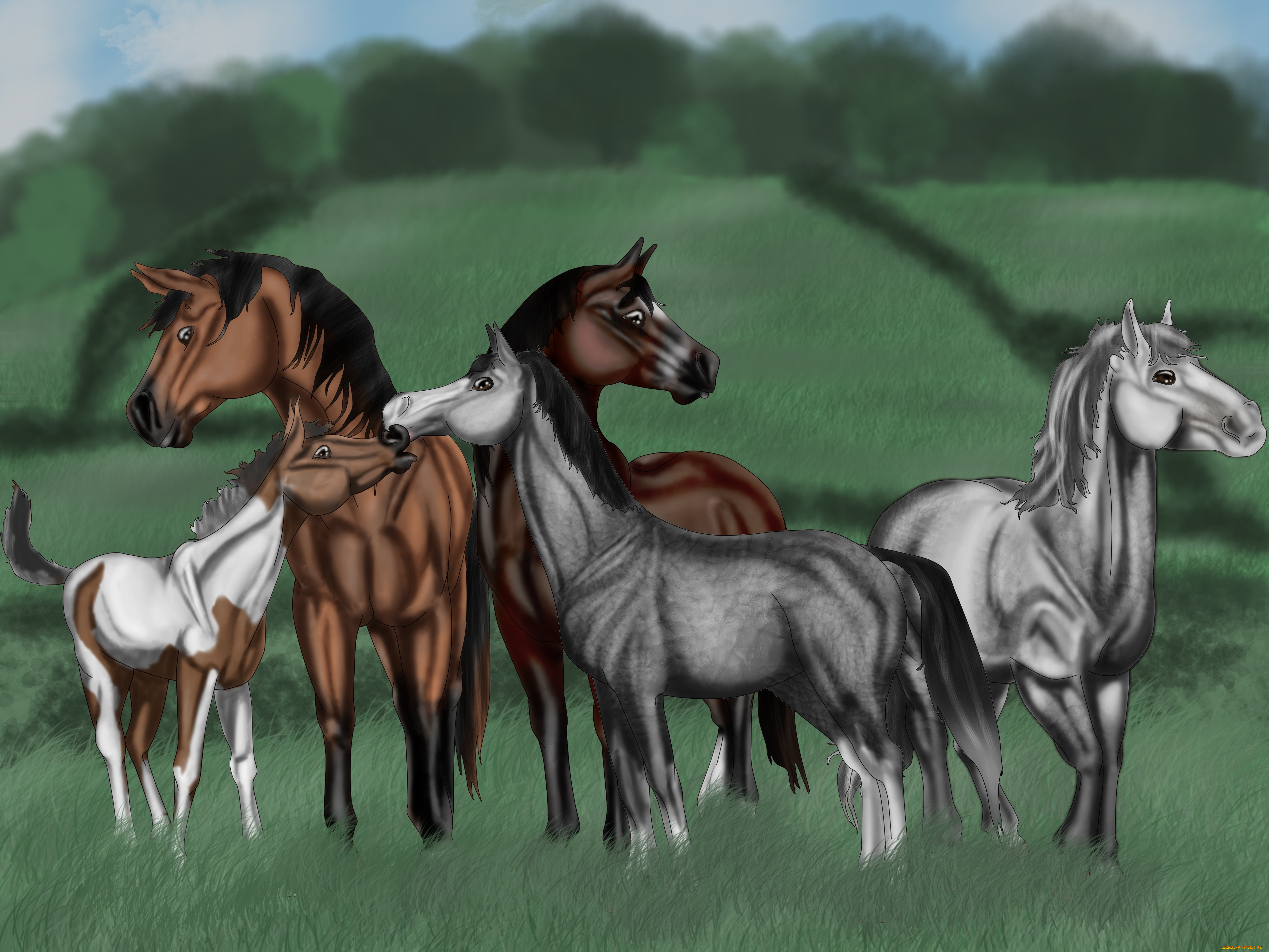 рисованные, животные, лошади