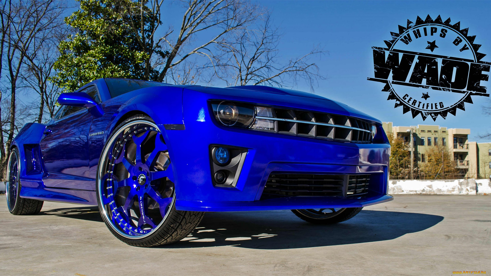 автомобили, camaro