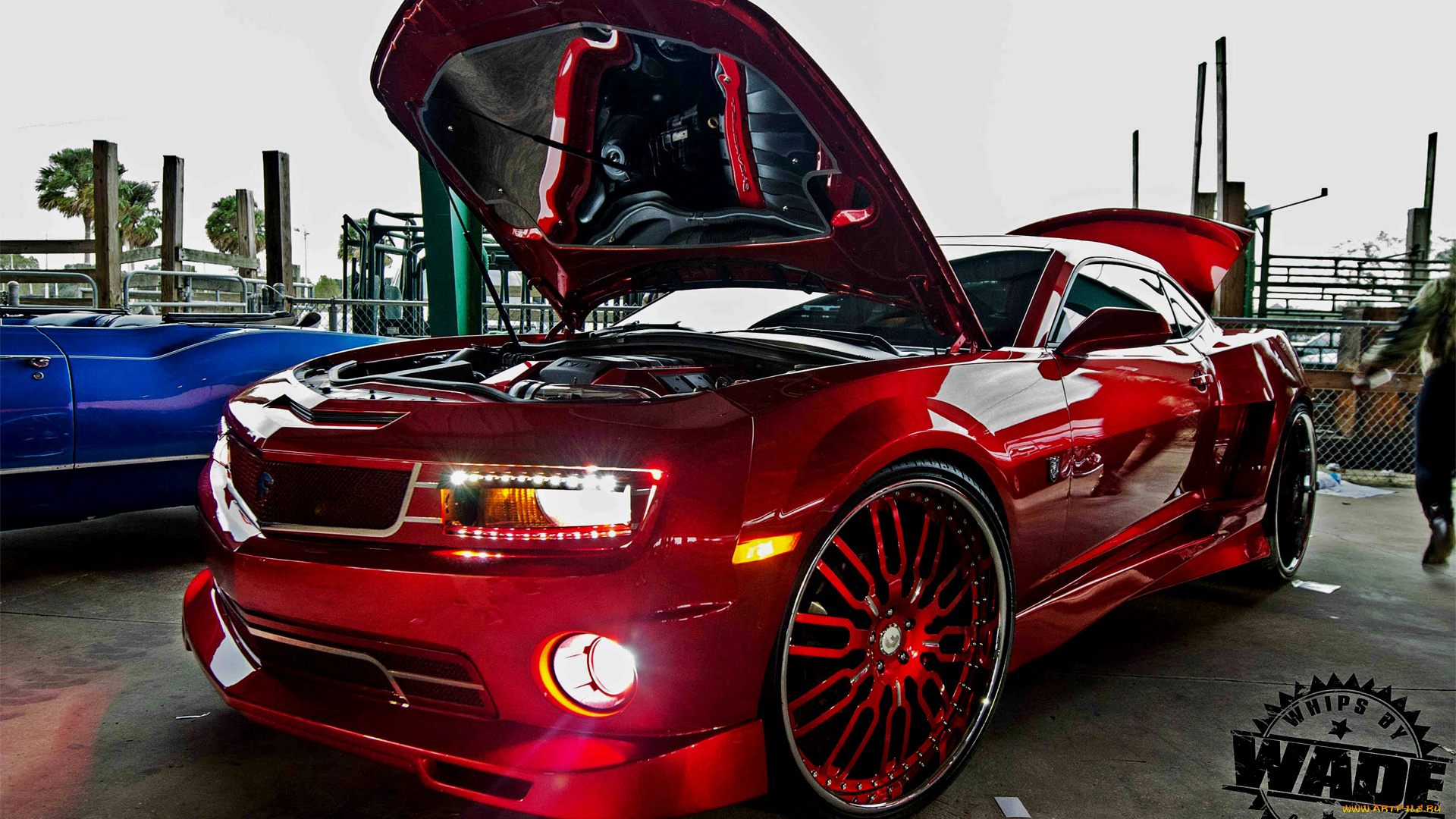 автомобили, выставки, и, уличные, фото, camaro