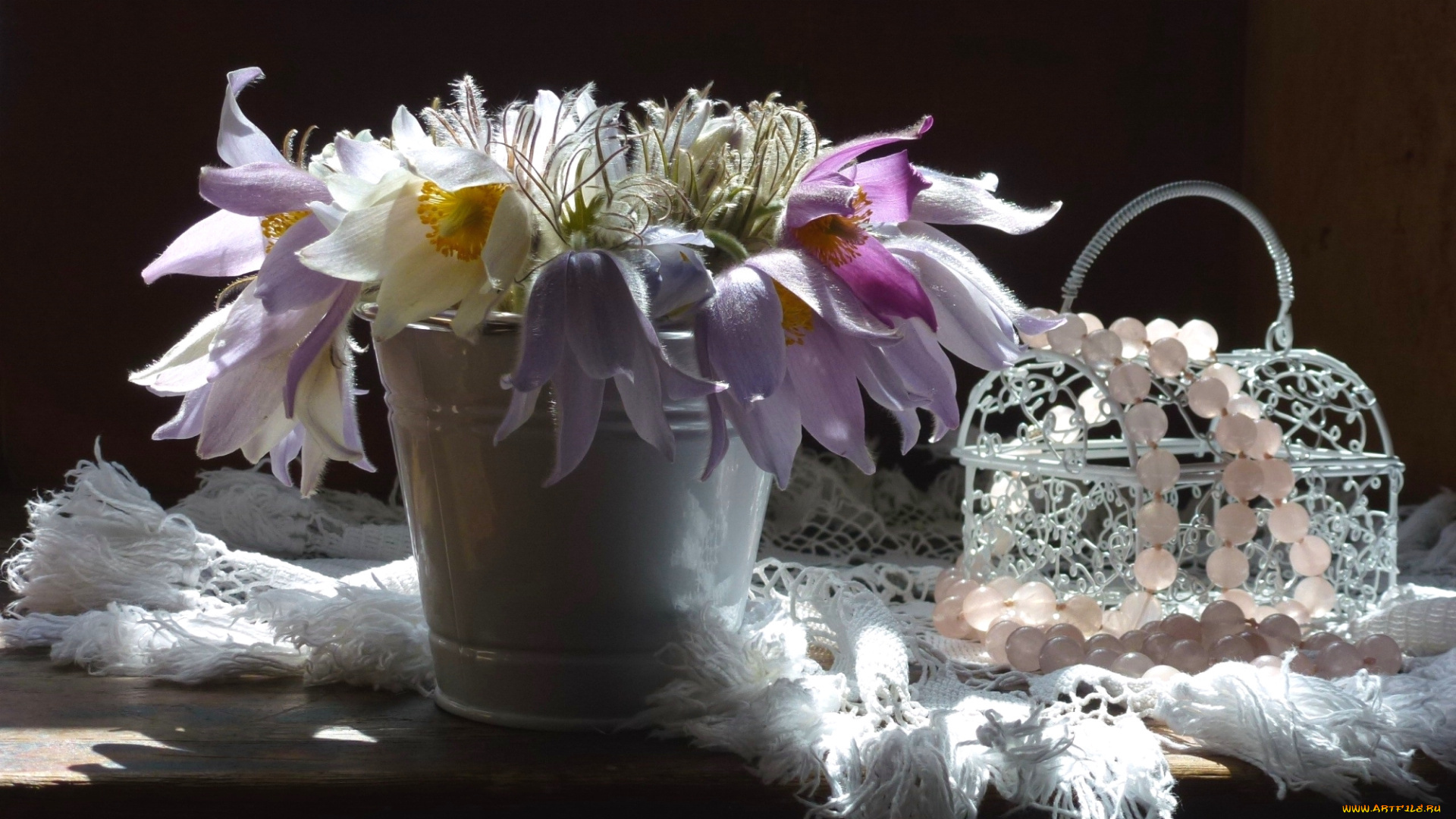 цветы, анемоны, , адонисы, сон-трава