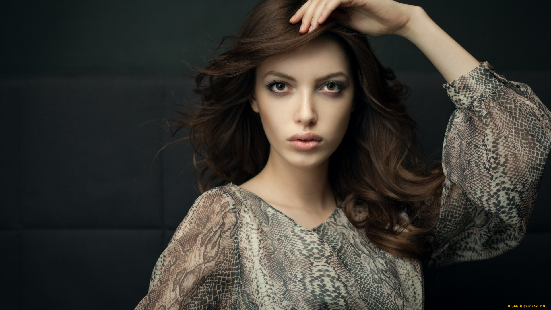 девушки, -unsort, , брюнетки, , шатенки, красота