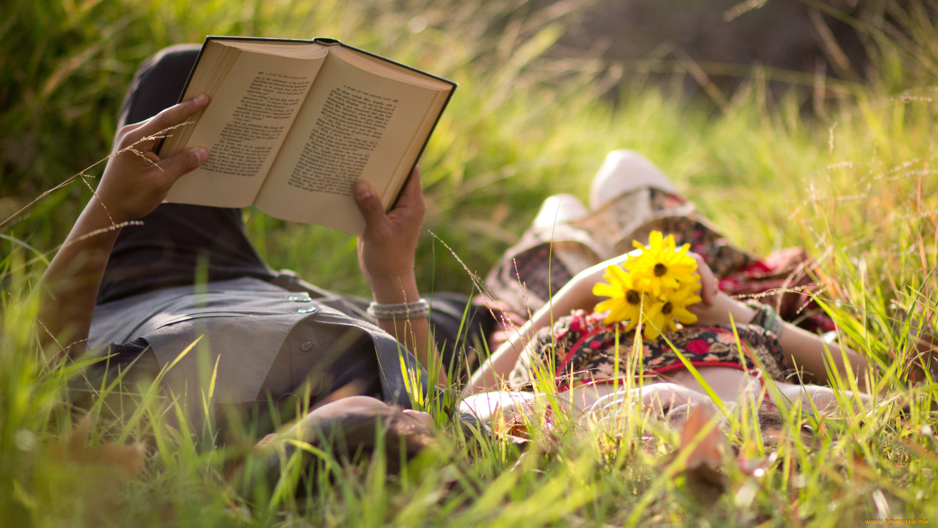 разное, мужчина, женщина, романтика, пара, трава, луг, книга, зелень, чтение, цветы, любовь, парочка, теплота, love, чувства, влюбленные, женщина, мужчина, парень, девушка