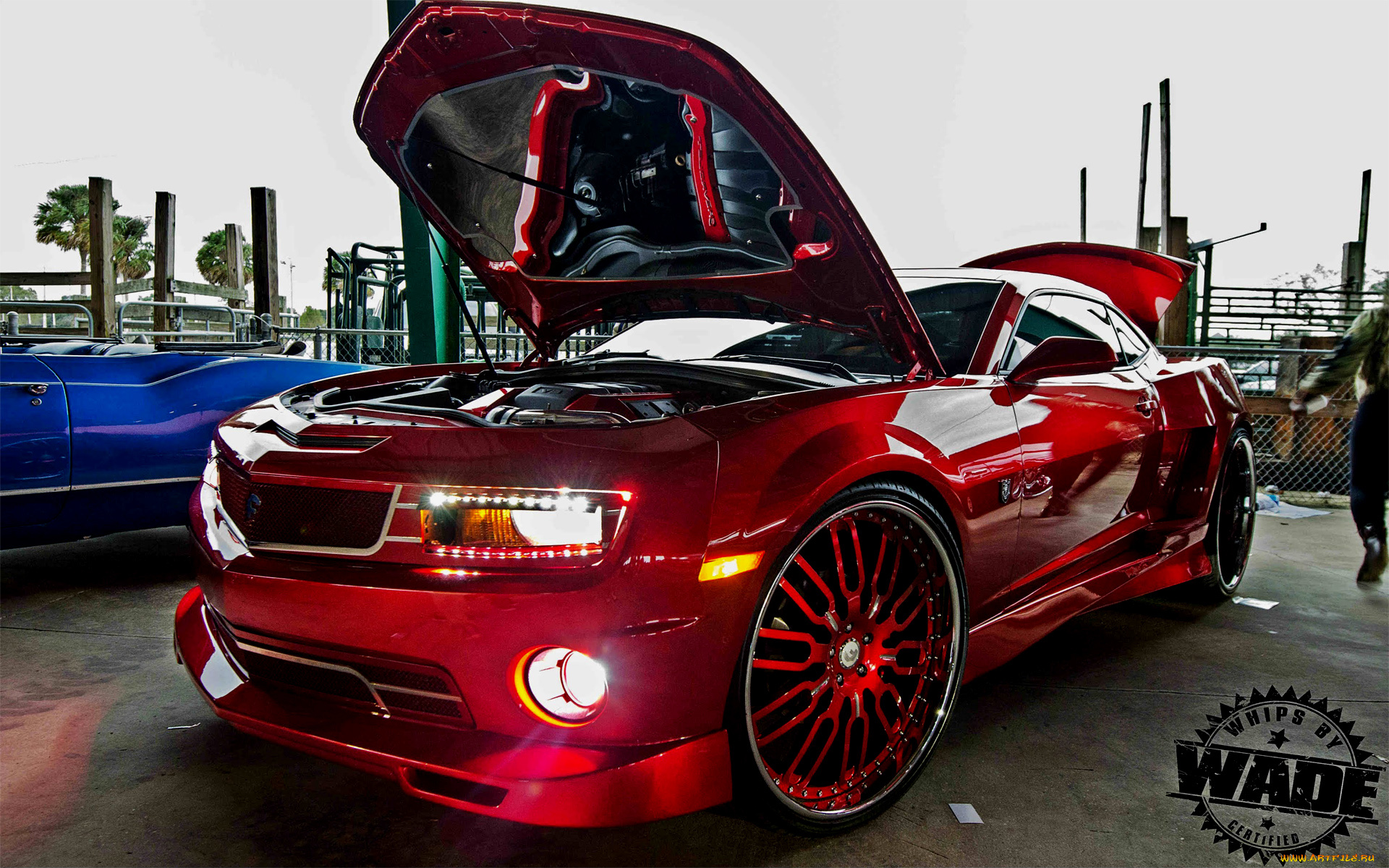 автомобили, выставки, и, уличные, фото, camaro