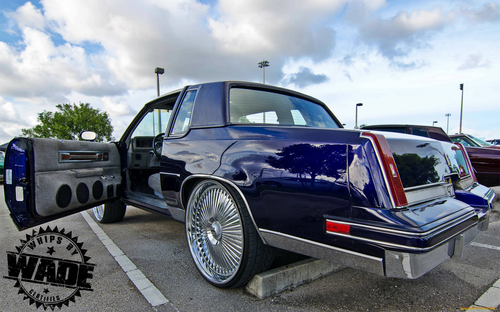 автомобили, выставки, и, уличные, фото, car, black