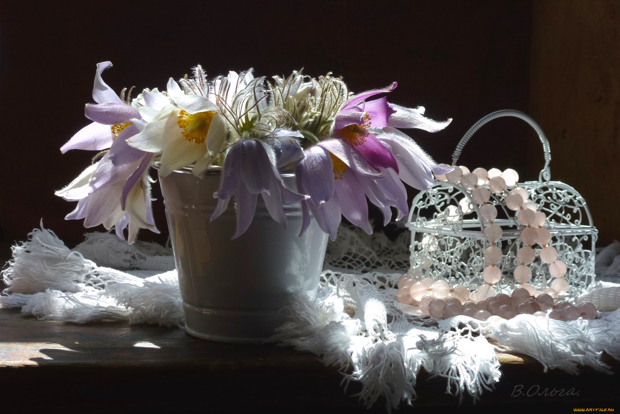 цветы, анемоны, , адонисы, сон-трава