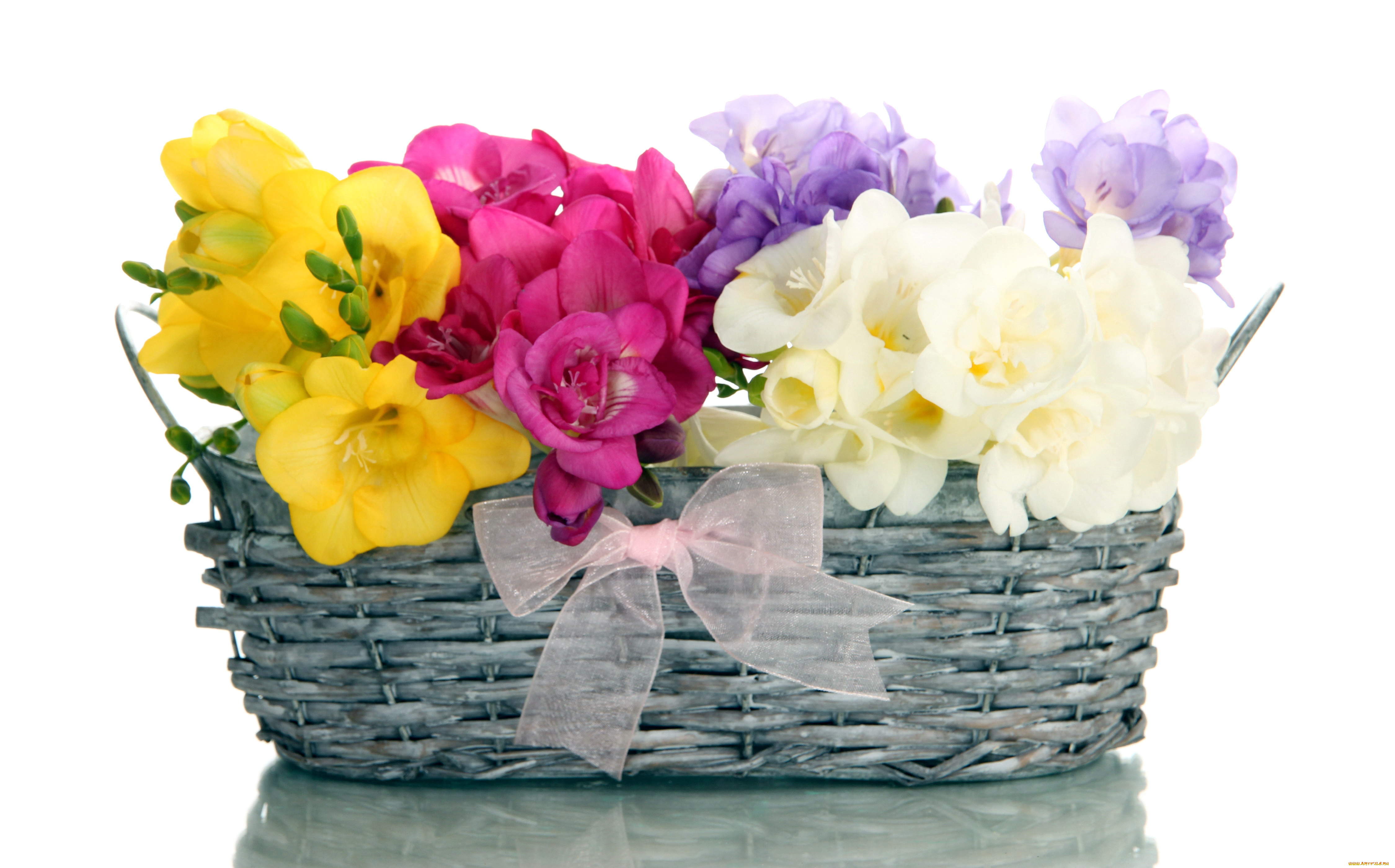 цветы, фрезия, корзинка, бант, желтый, розовый, белый, сиреневый