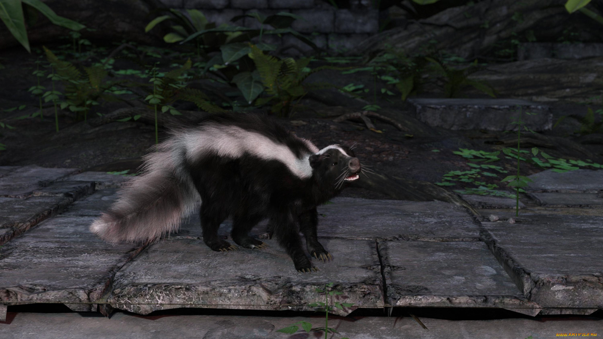 3д, графика, животные, , animals, скунс