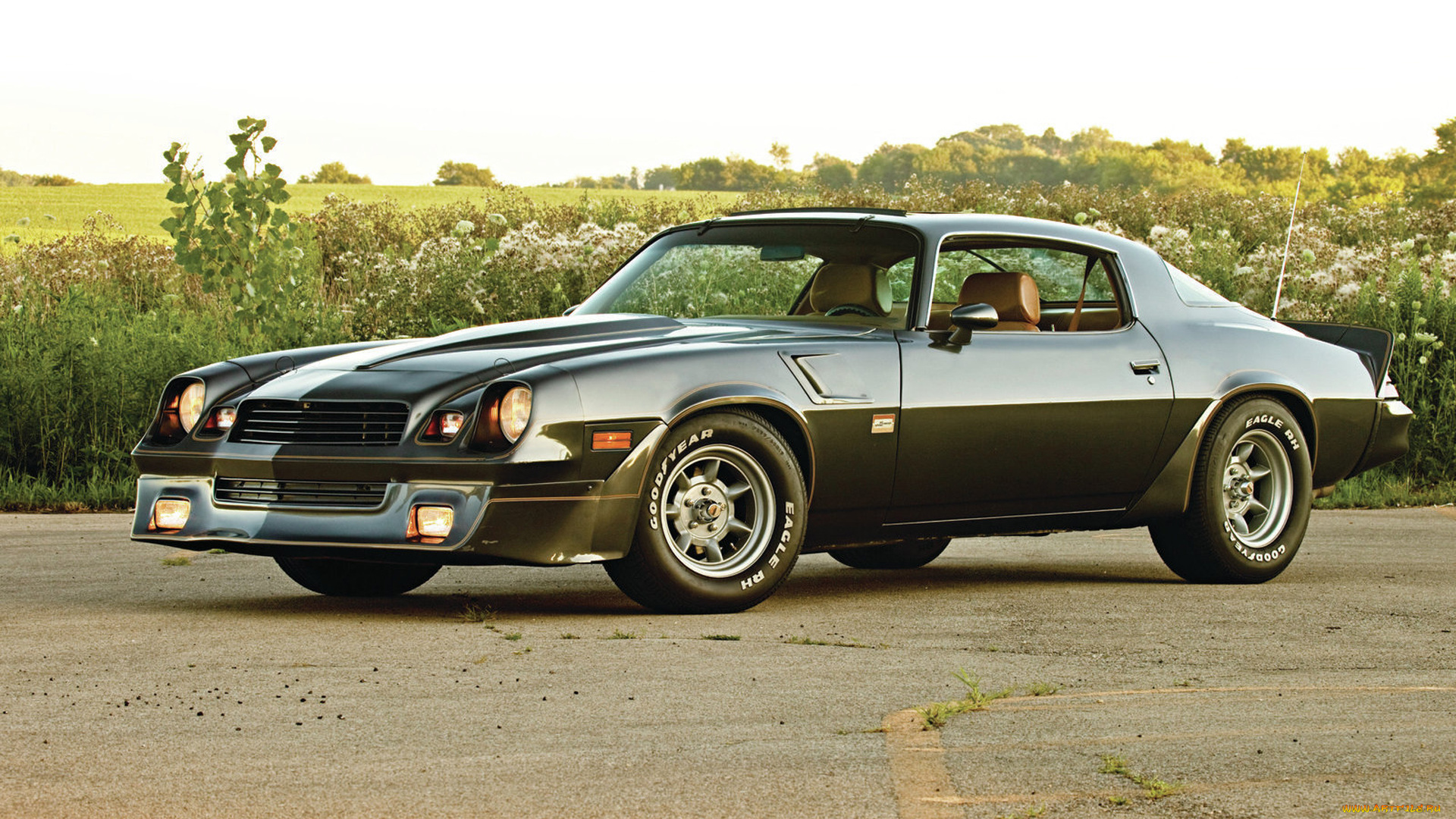 автомобили, camaro