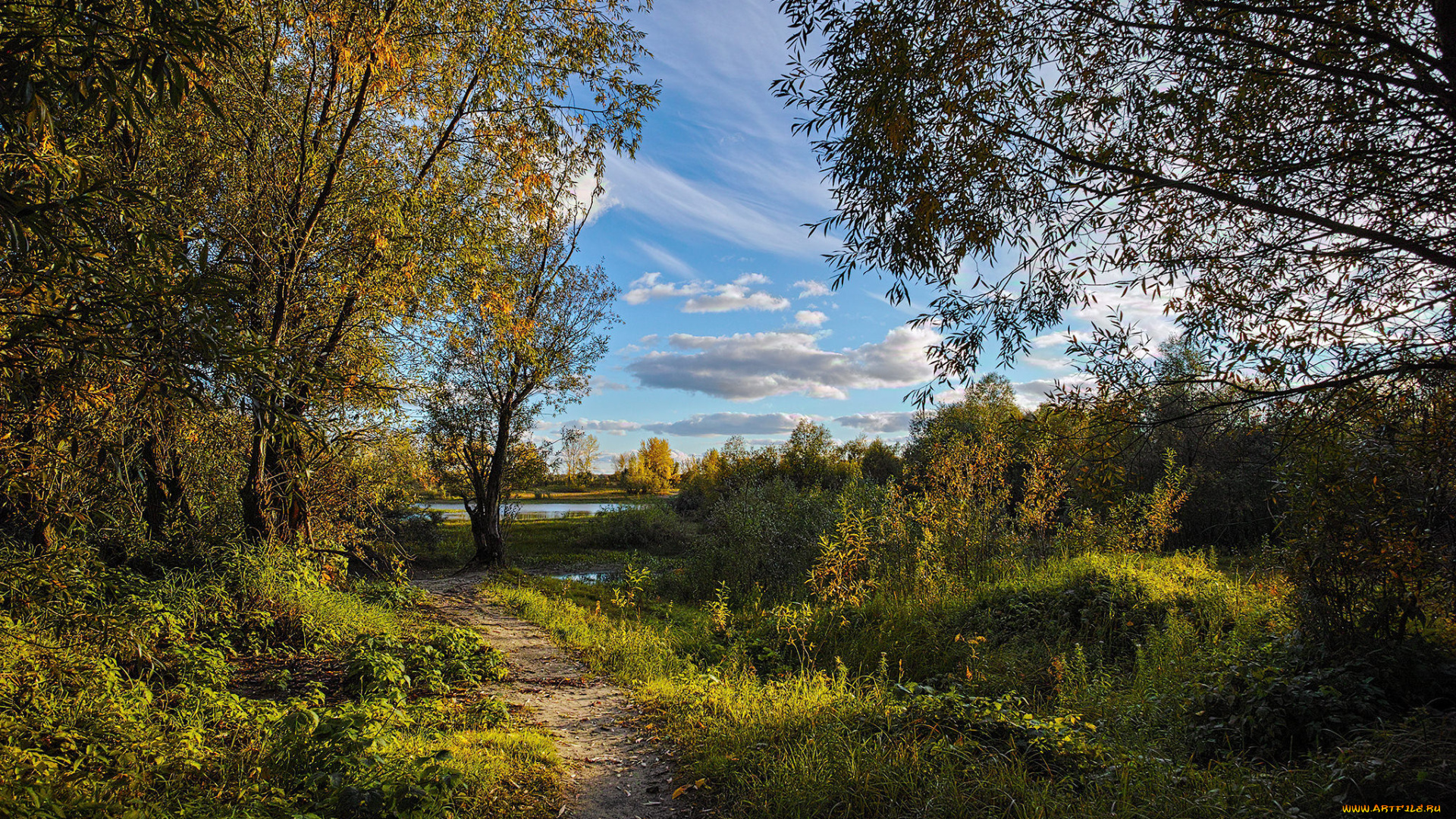 природа, дороги, тракт