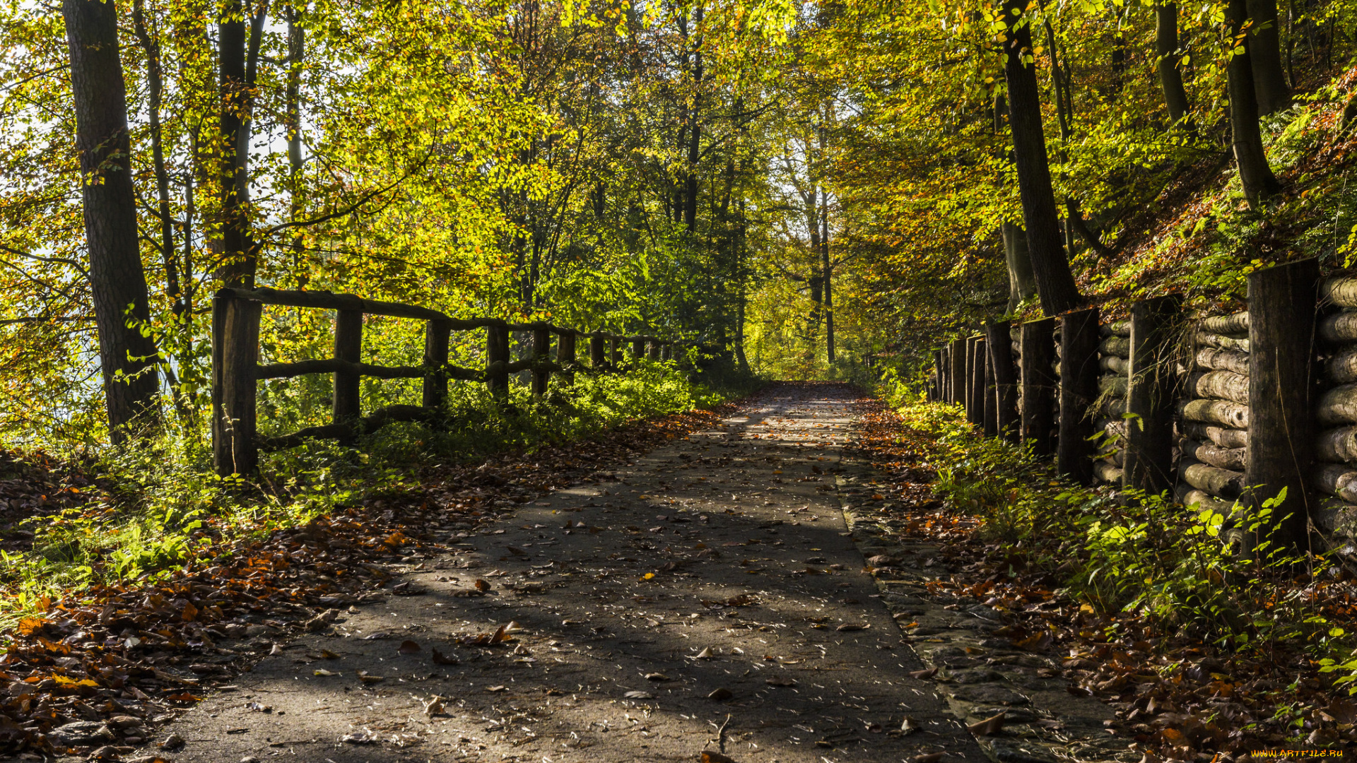 природа, дороги, тракт