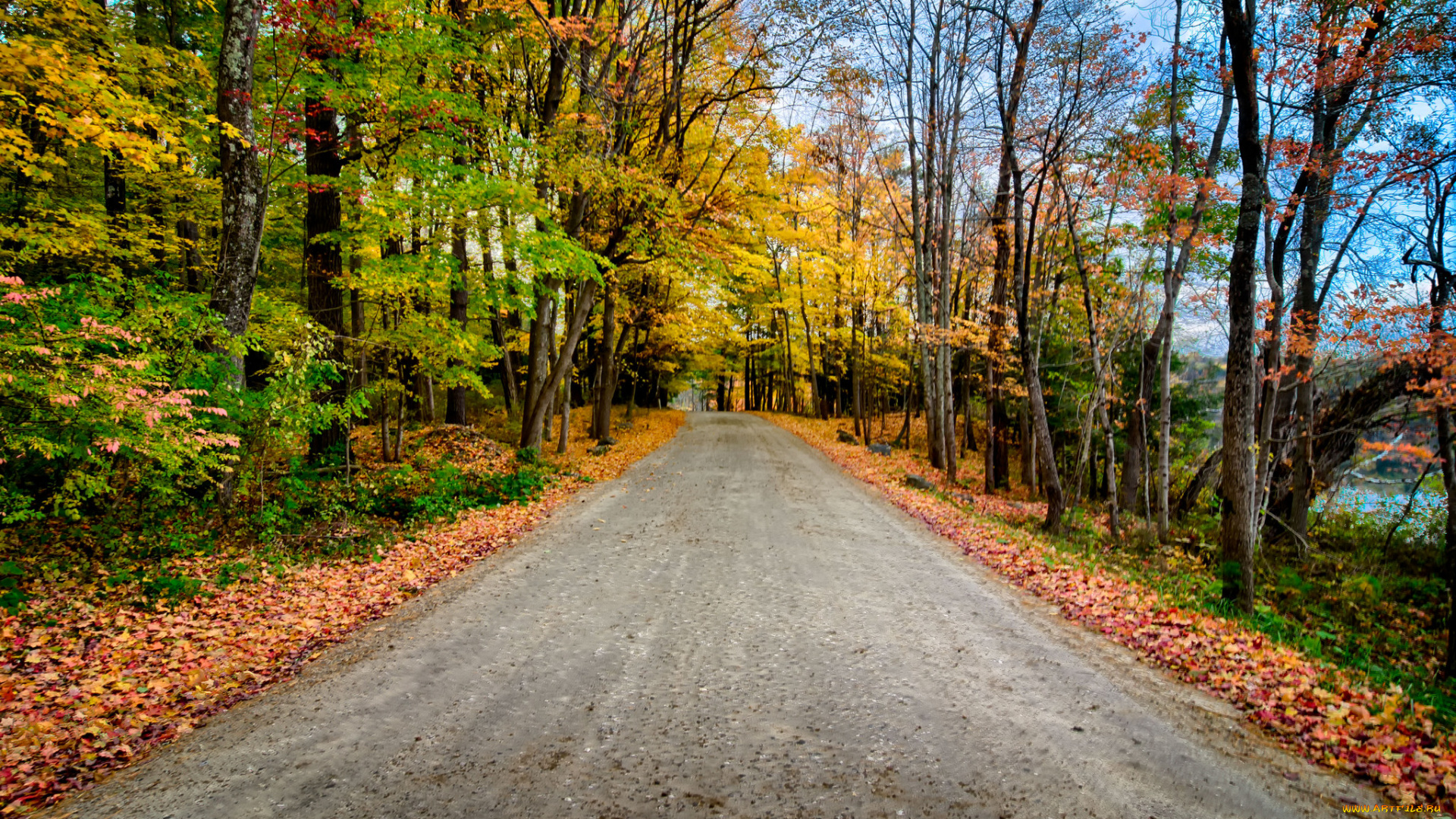 природа, дороги, тракт