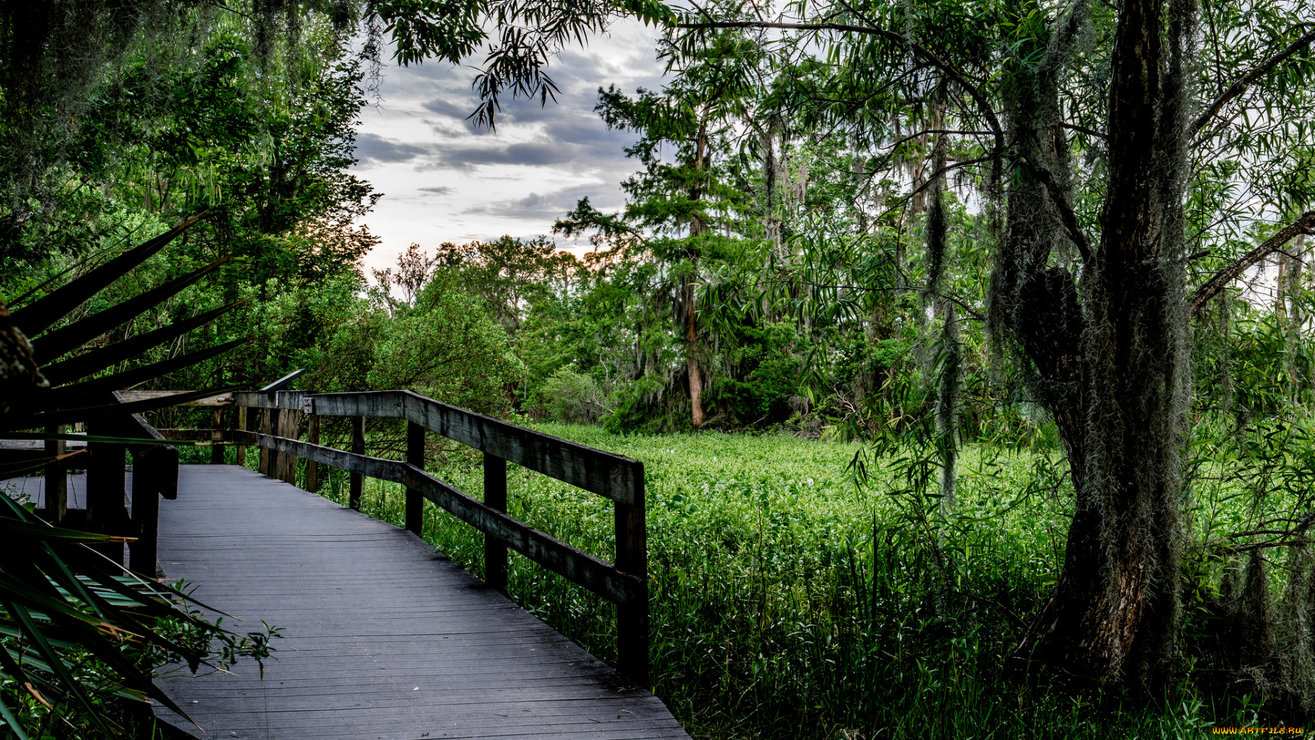 природа, дороги, тракт