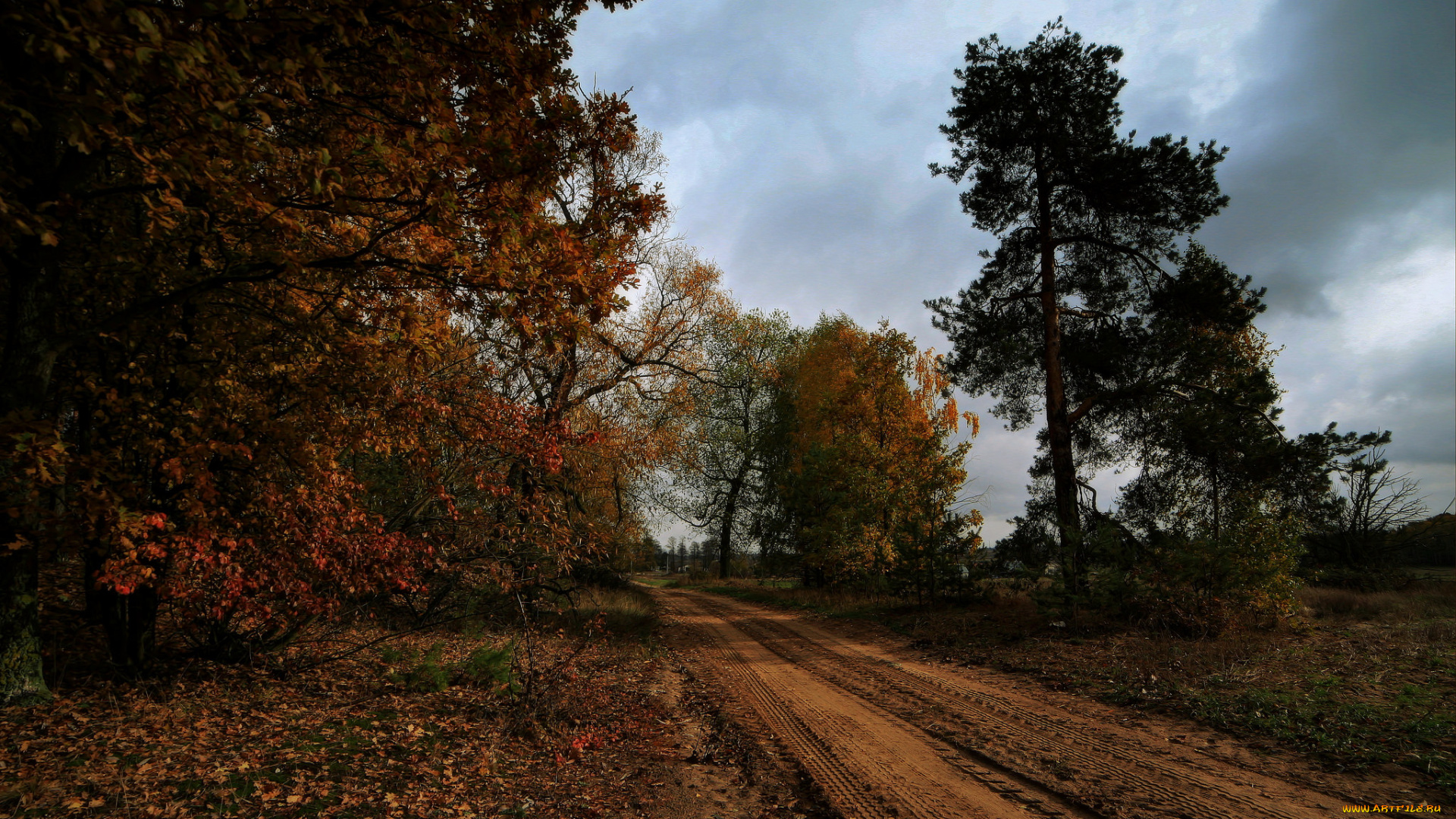 природа, дороги, тракт