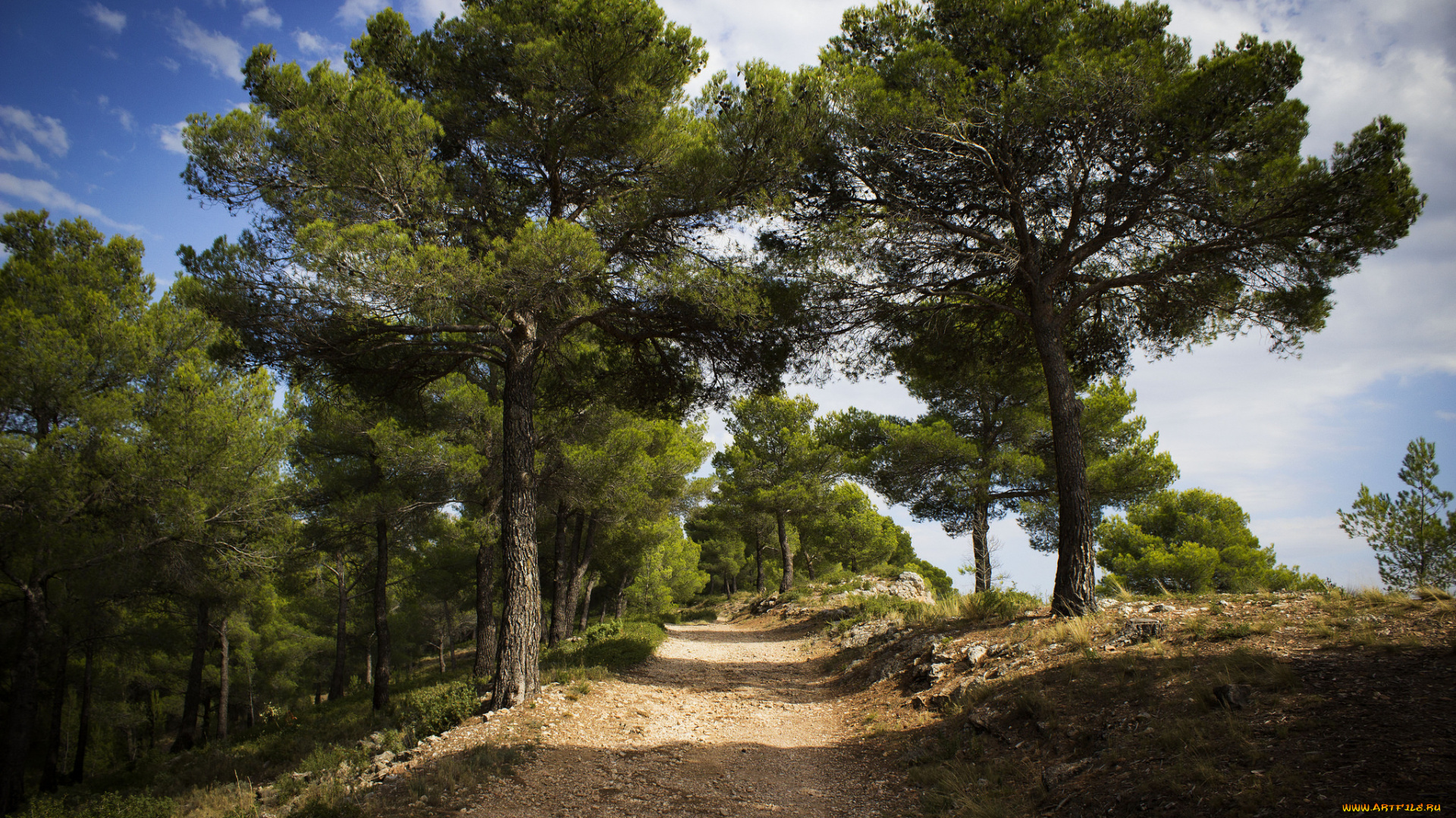 природа, дороги, тракт