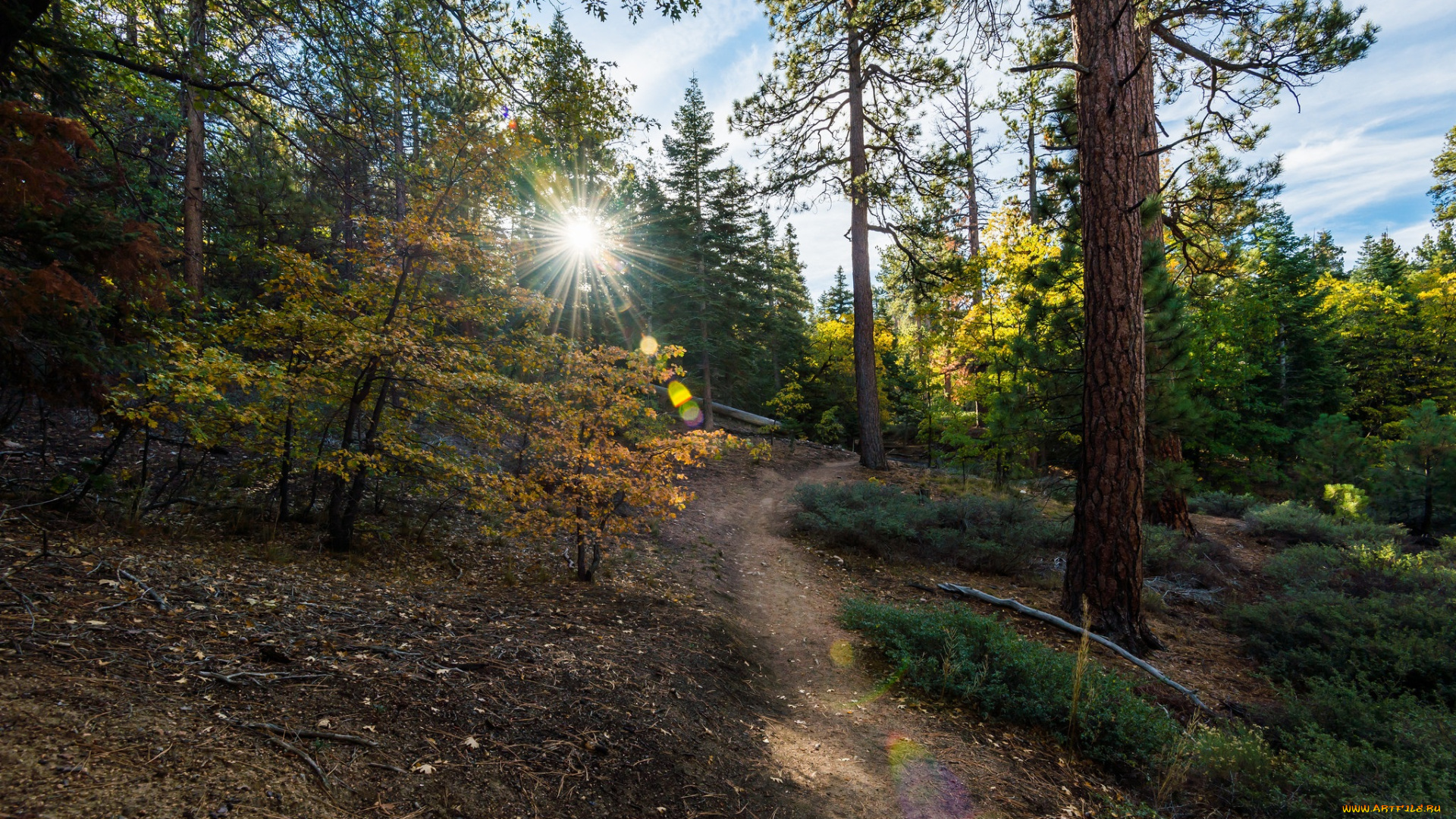 природа, дороги, тракт