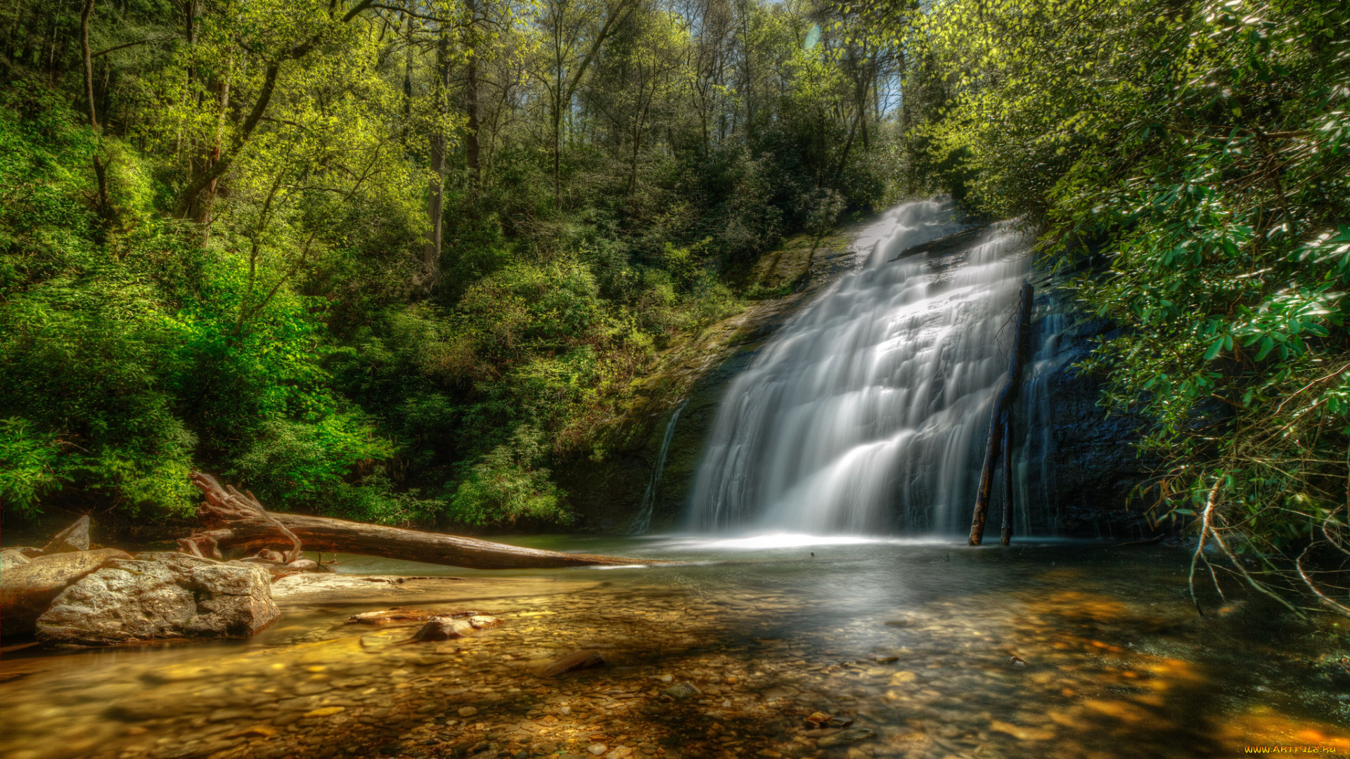 природа, водопады, лес, река, водопад