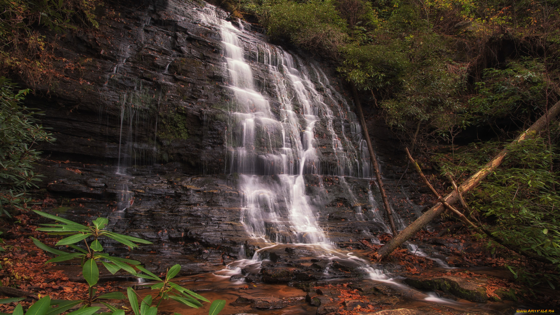 природа, водопады, лес, водопад, река