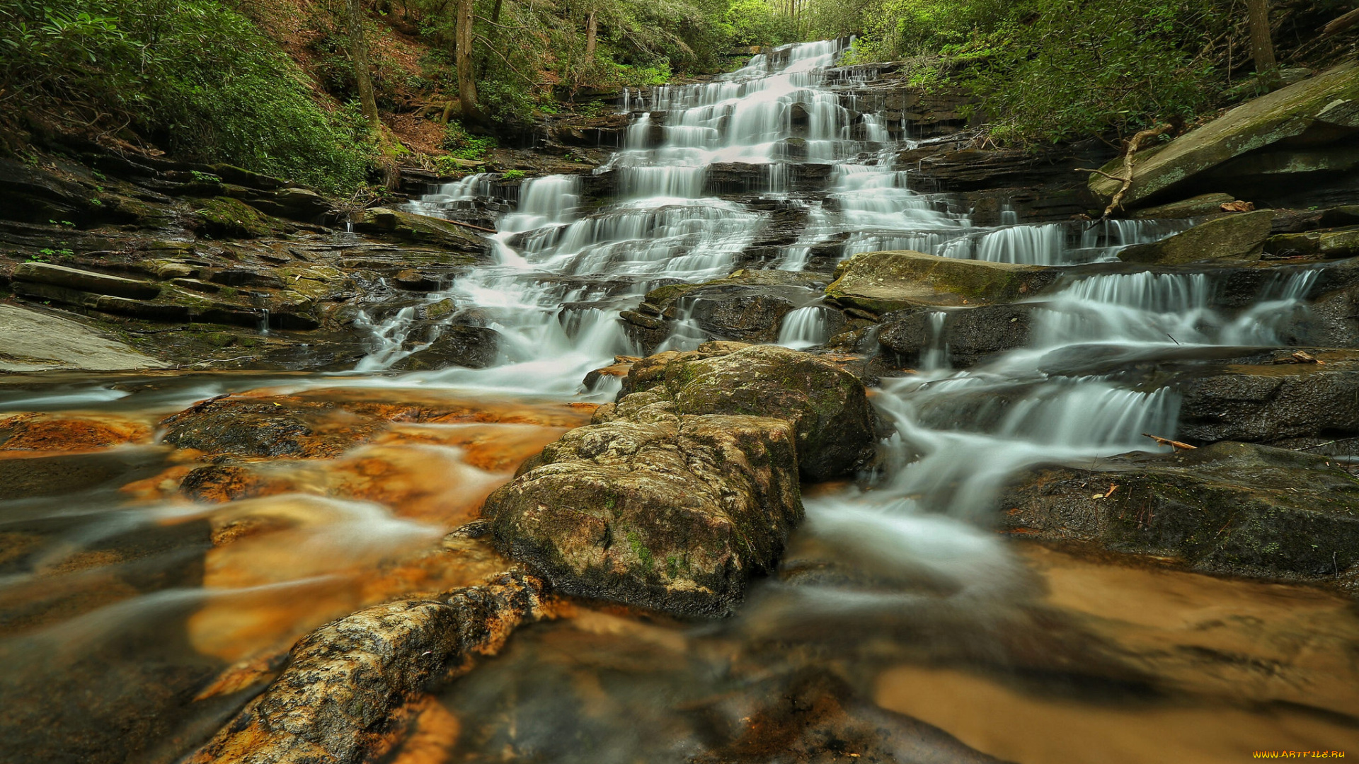 природа, водопады, водопад, лес, река