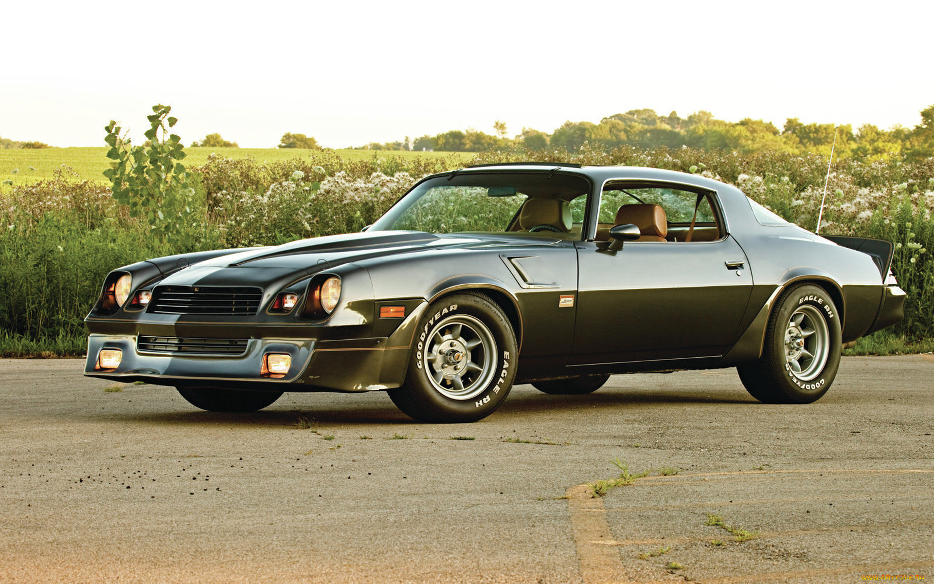 автомобили, camaro