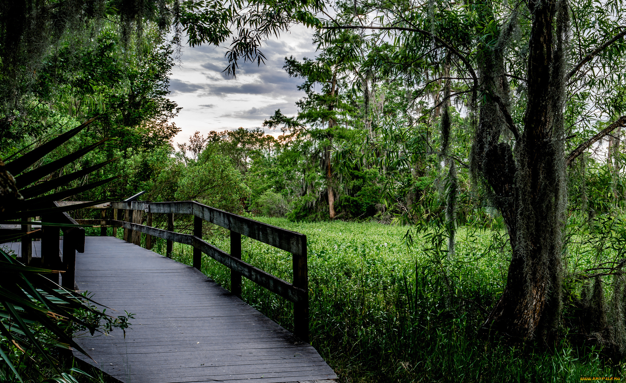 природа, дороги, тракт