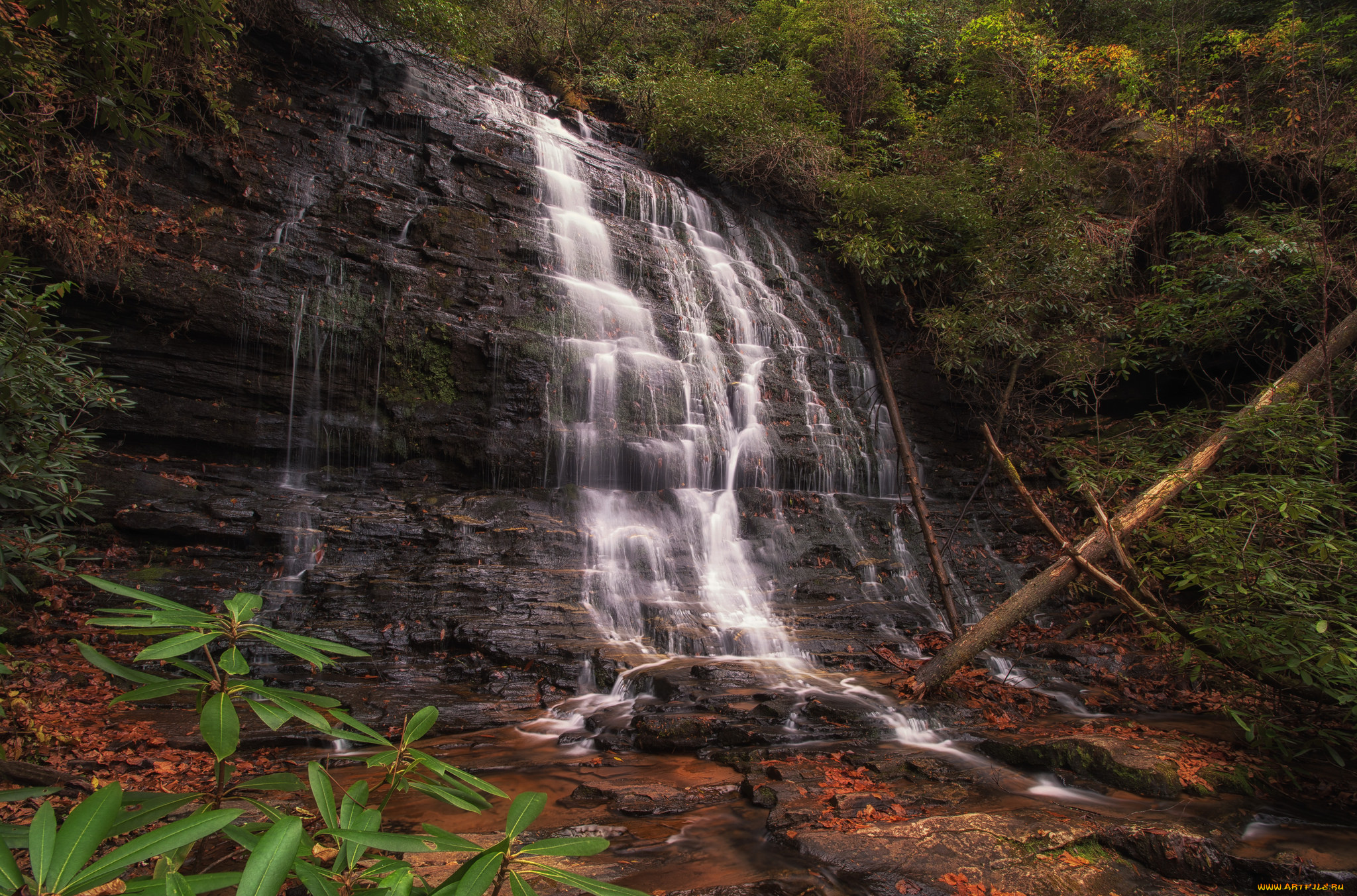 природа, водопады, лес, водопад, река