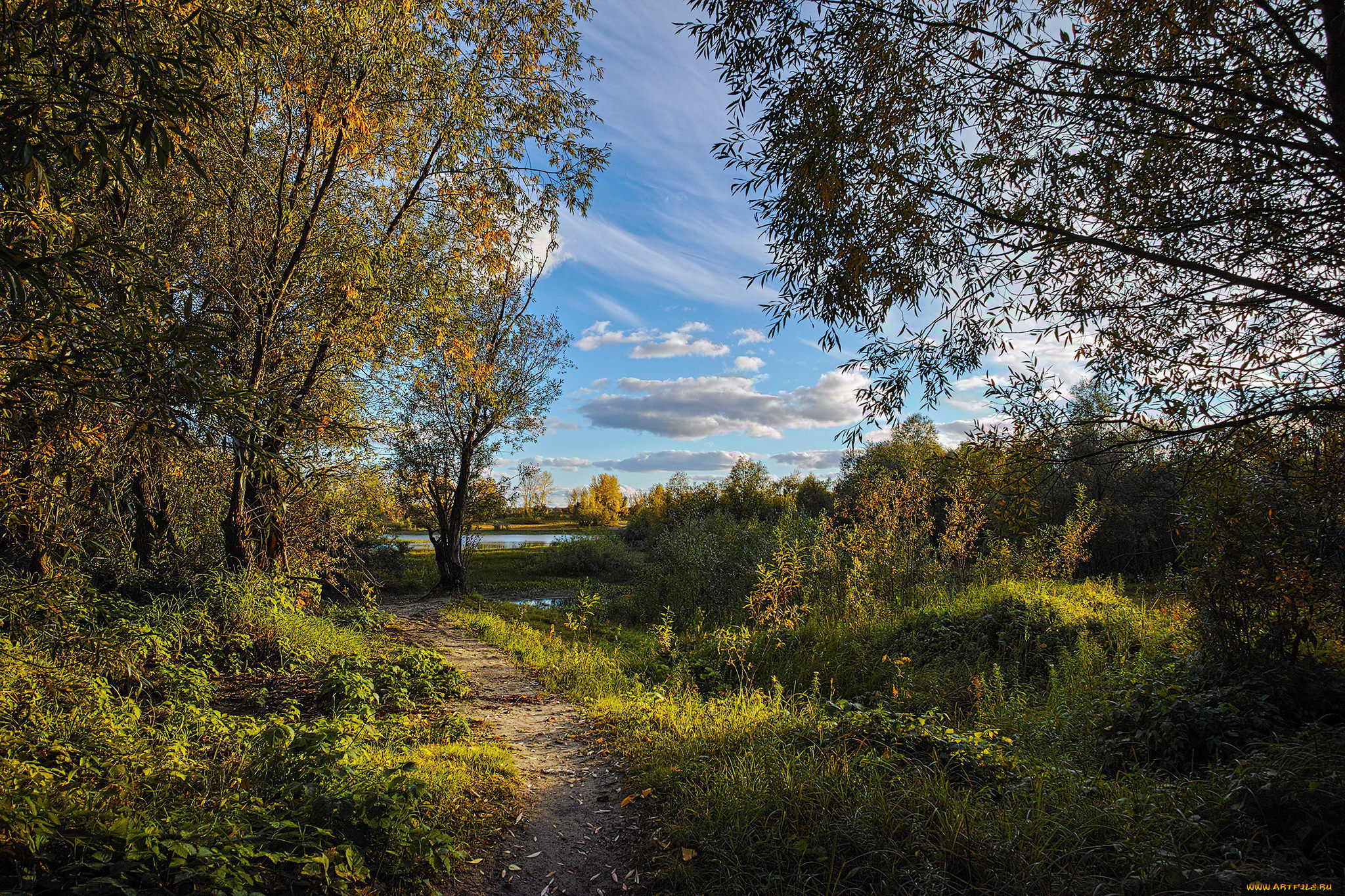 природа, дороги, тракт