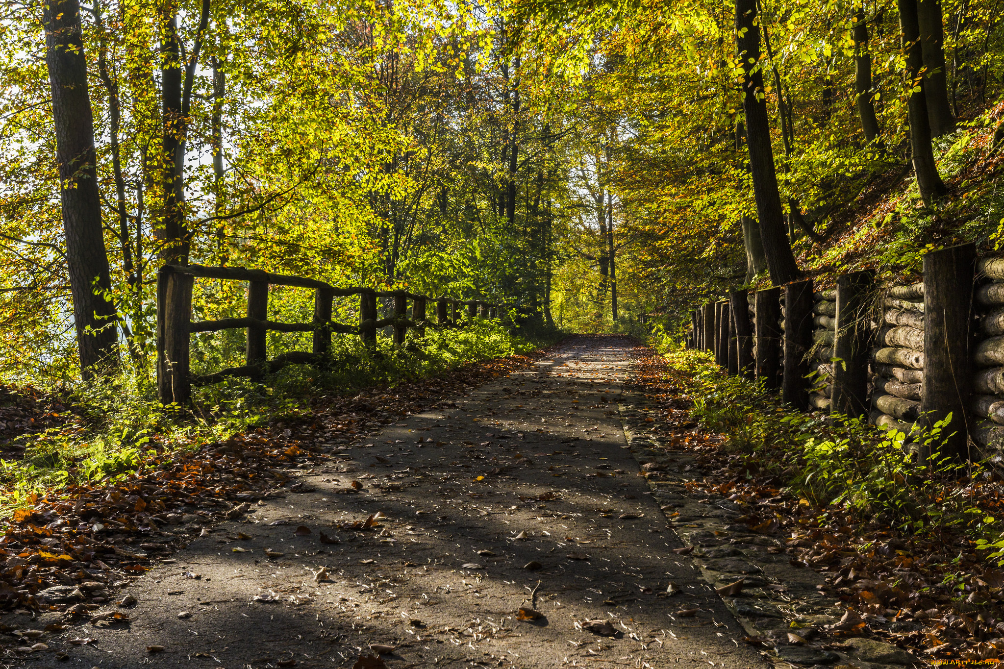 природа, дороги, тракт