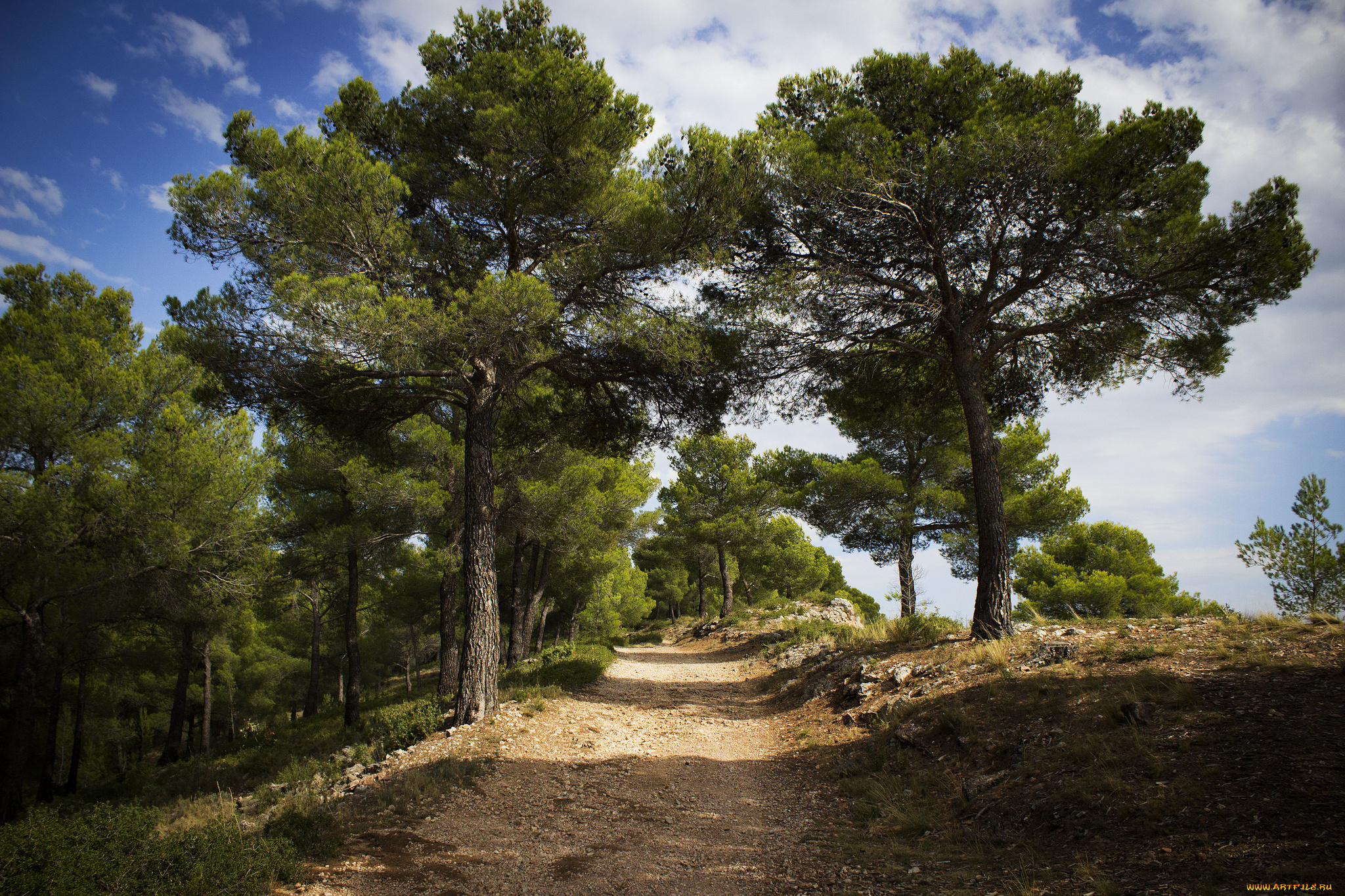 природа, дороги, тракт