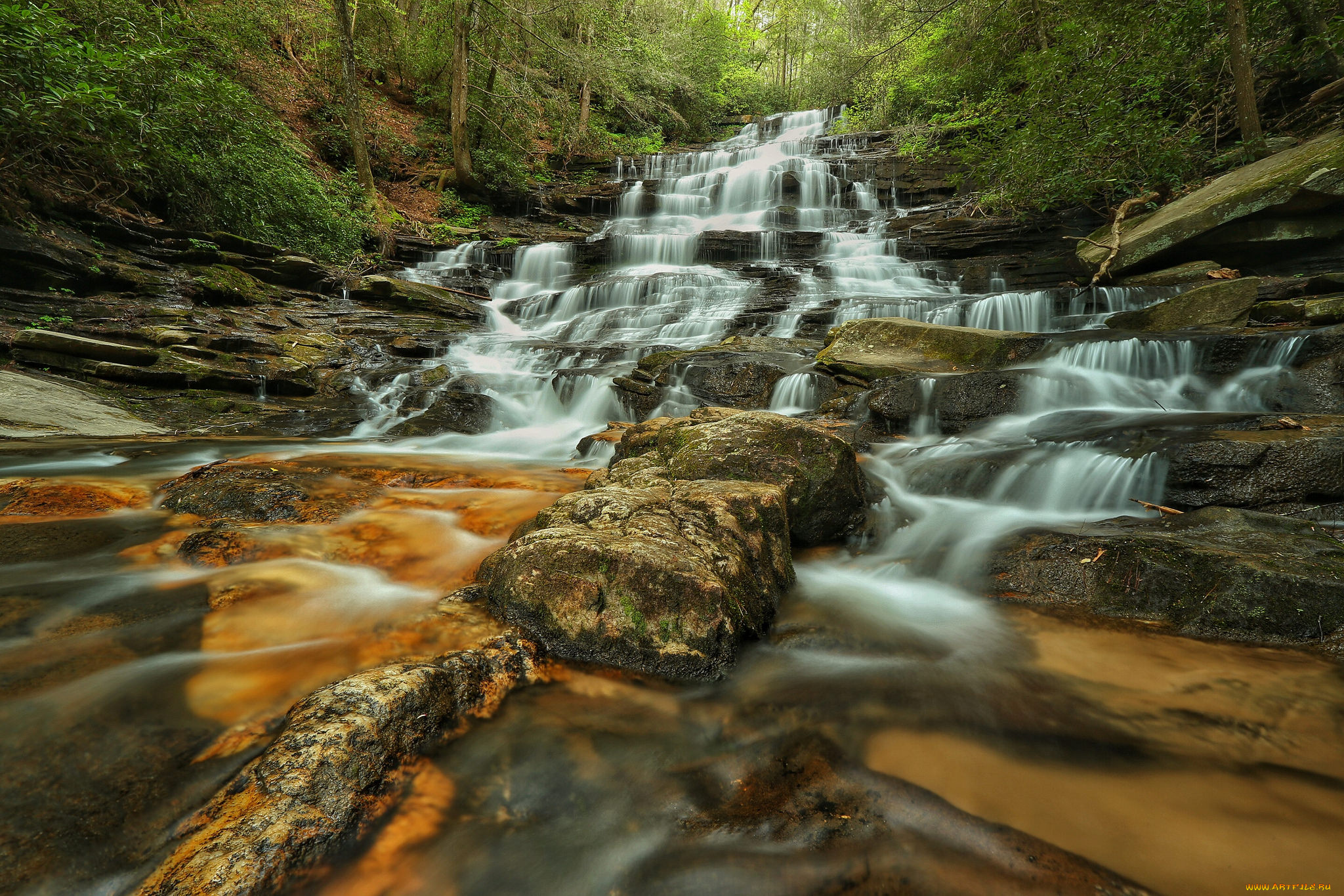 природа, водопады, водопад, лес, река