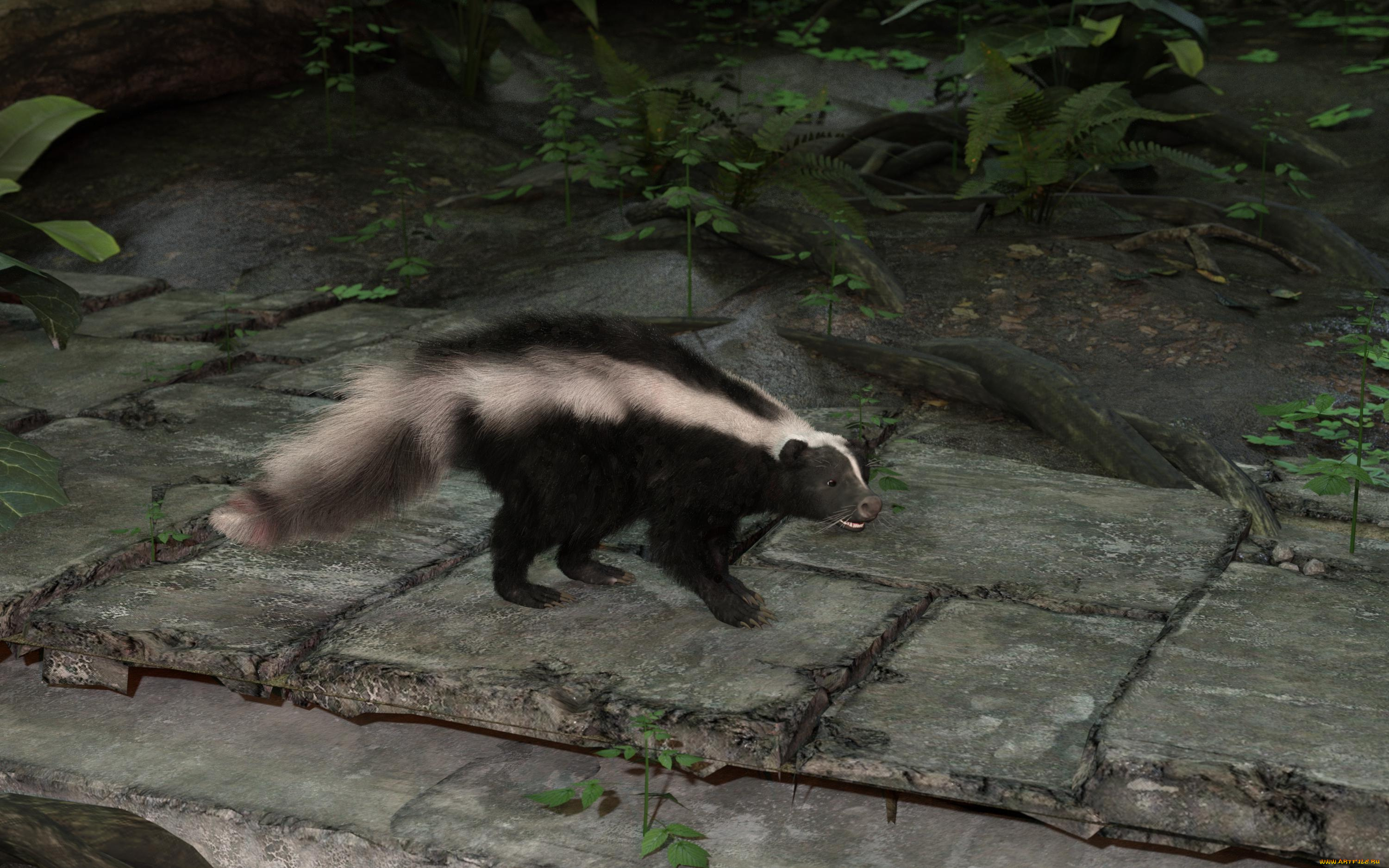 3д, графика, животные, , animals, скунс