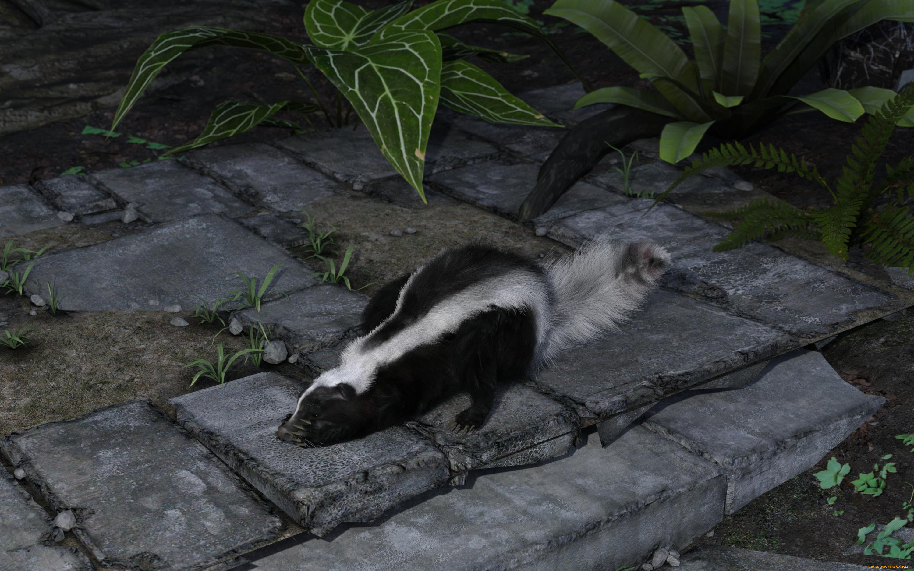 3д, графика, животные, , animals, скунс