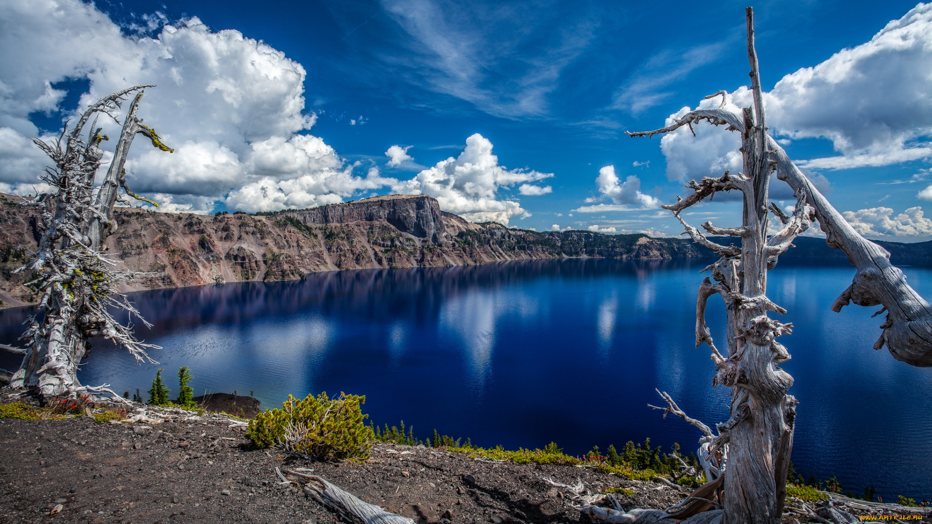 природа, побережье, море, берег