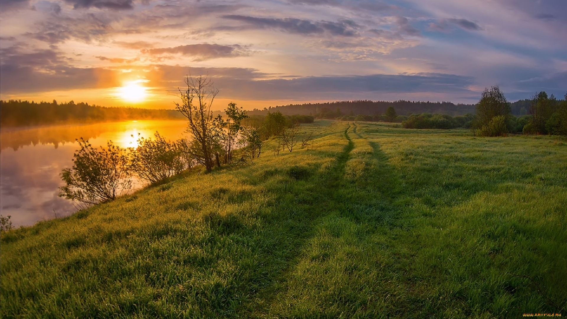 природа, восходы, закаты, река, солнце, марина, мурашова, трава, утро, рассвет