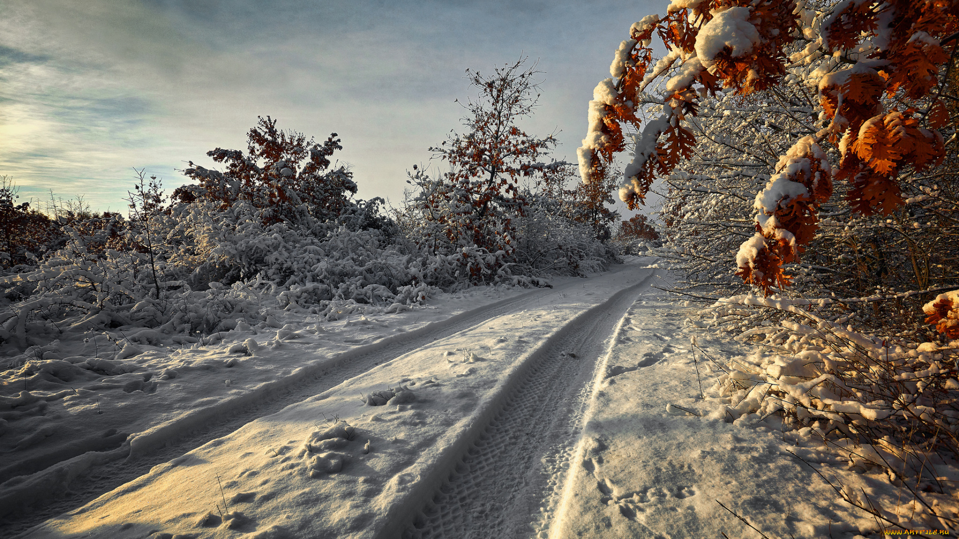 природа, зима, простор