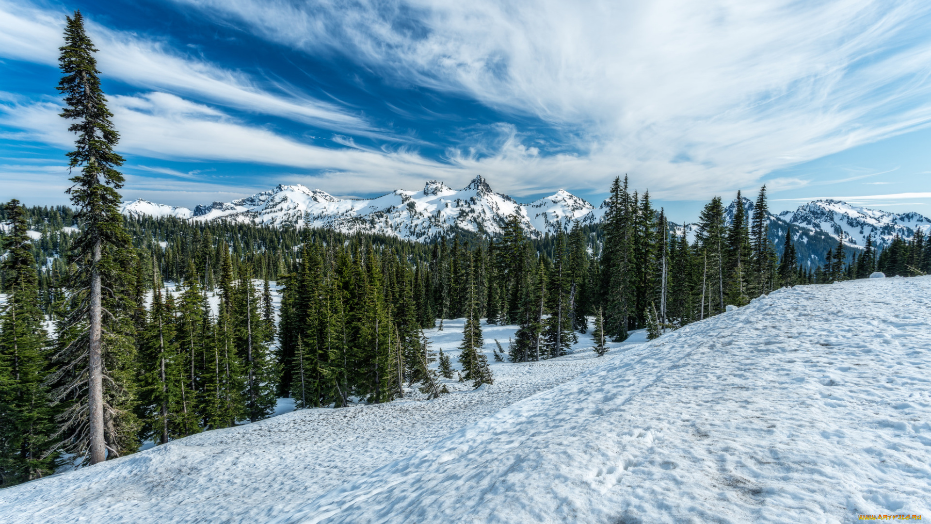 природа, зима, снег