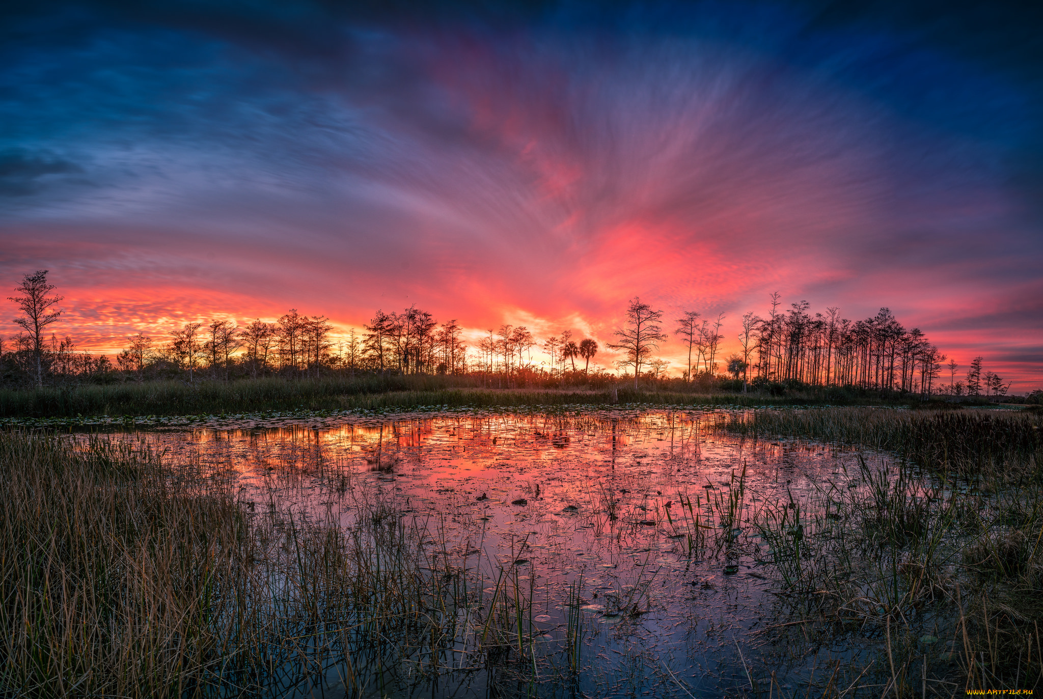 природа, восходы, закаты, заря