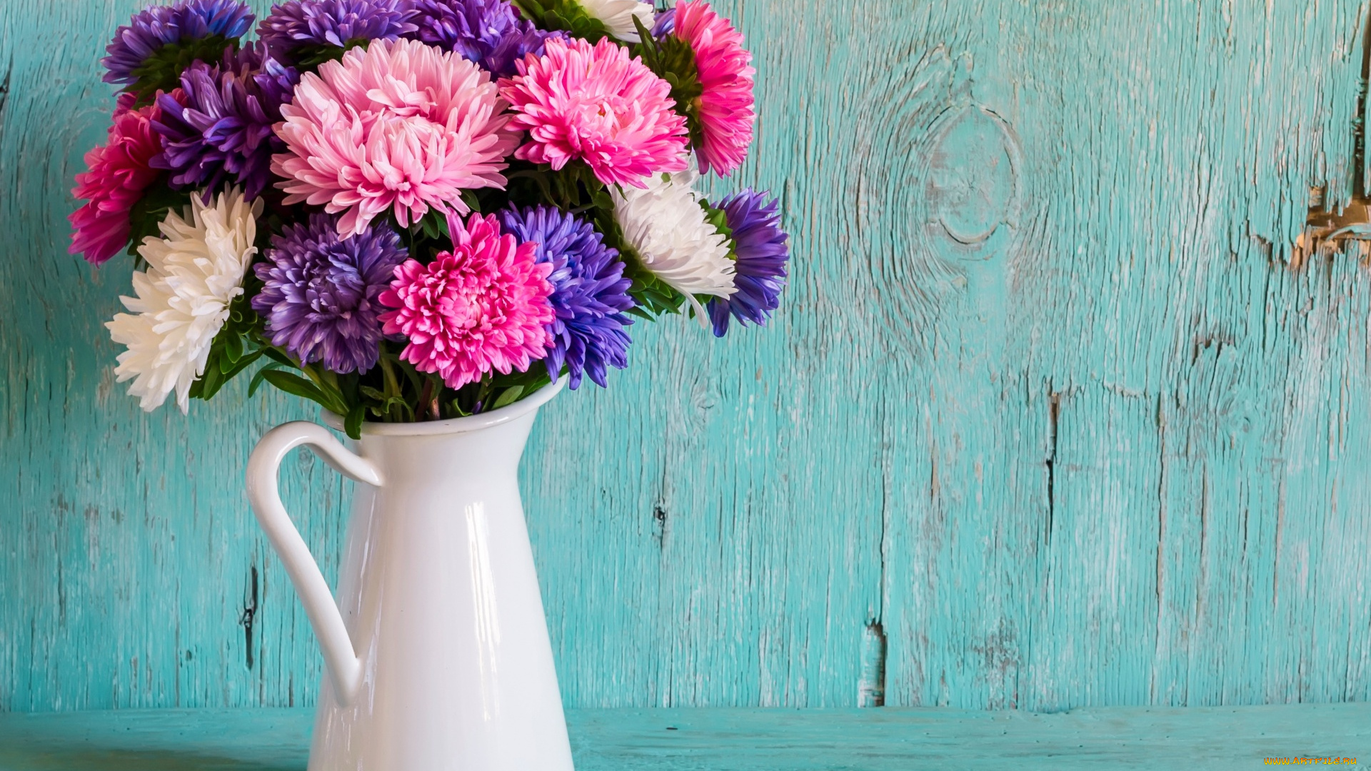 цветы, астры, разноцветные, букет