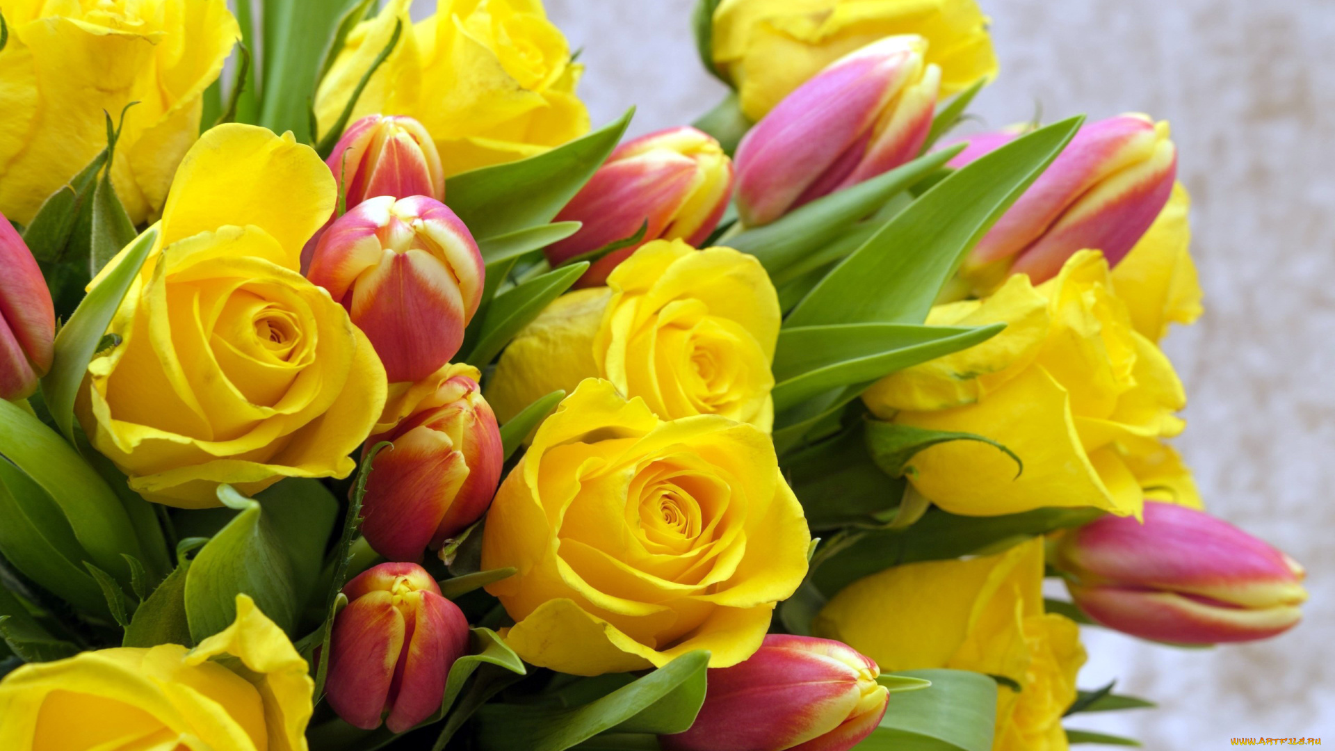 цветы, разные, вместе, тюльпаны, розы