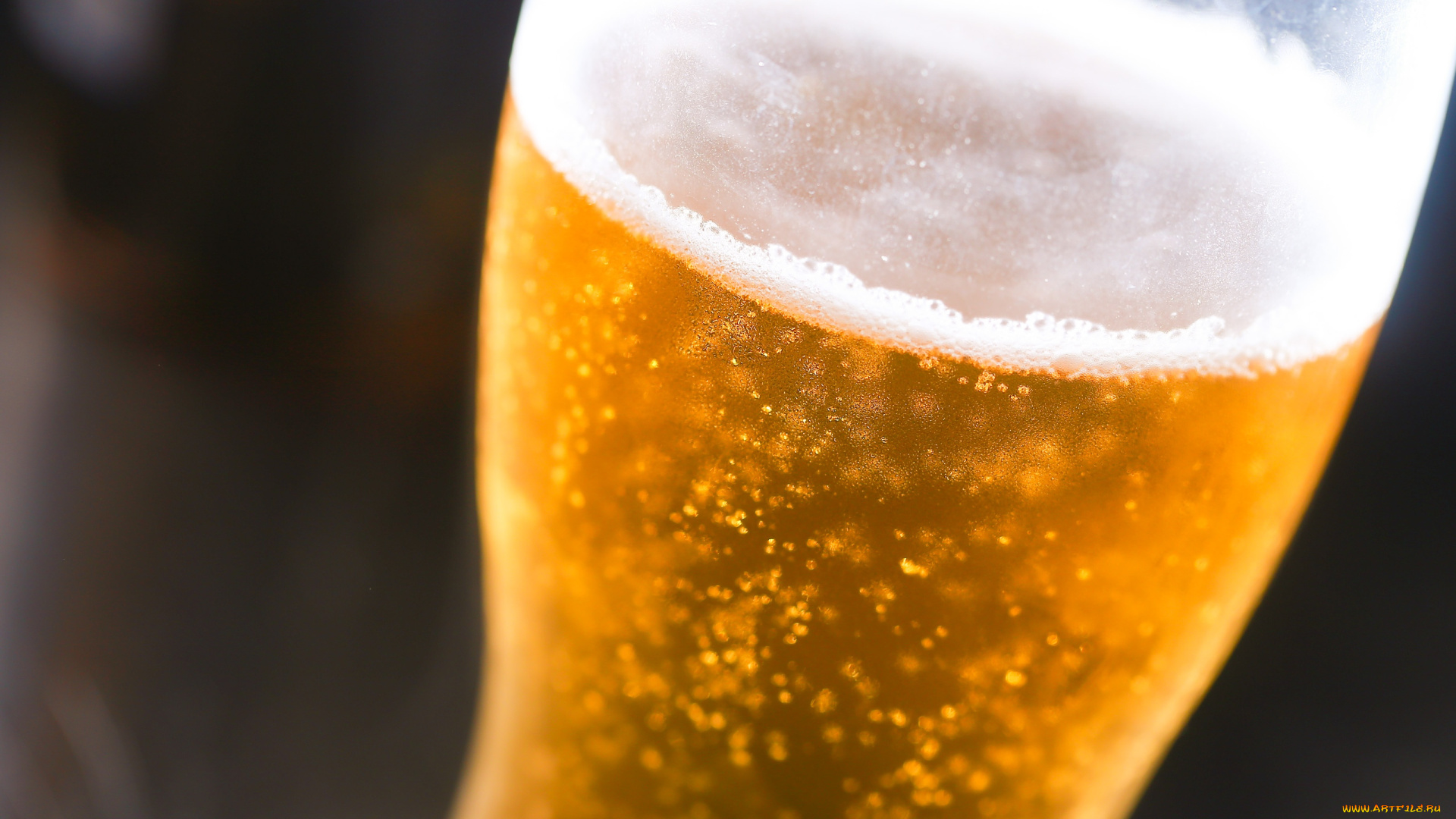 еда, напитки, , пиво, пена, пиво, бокал