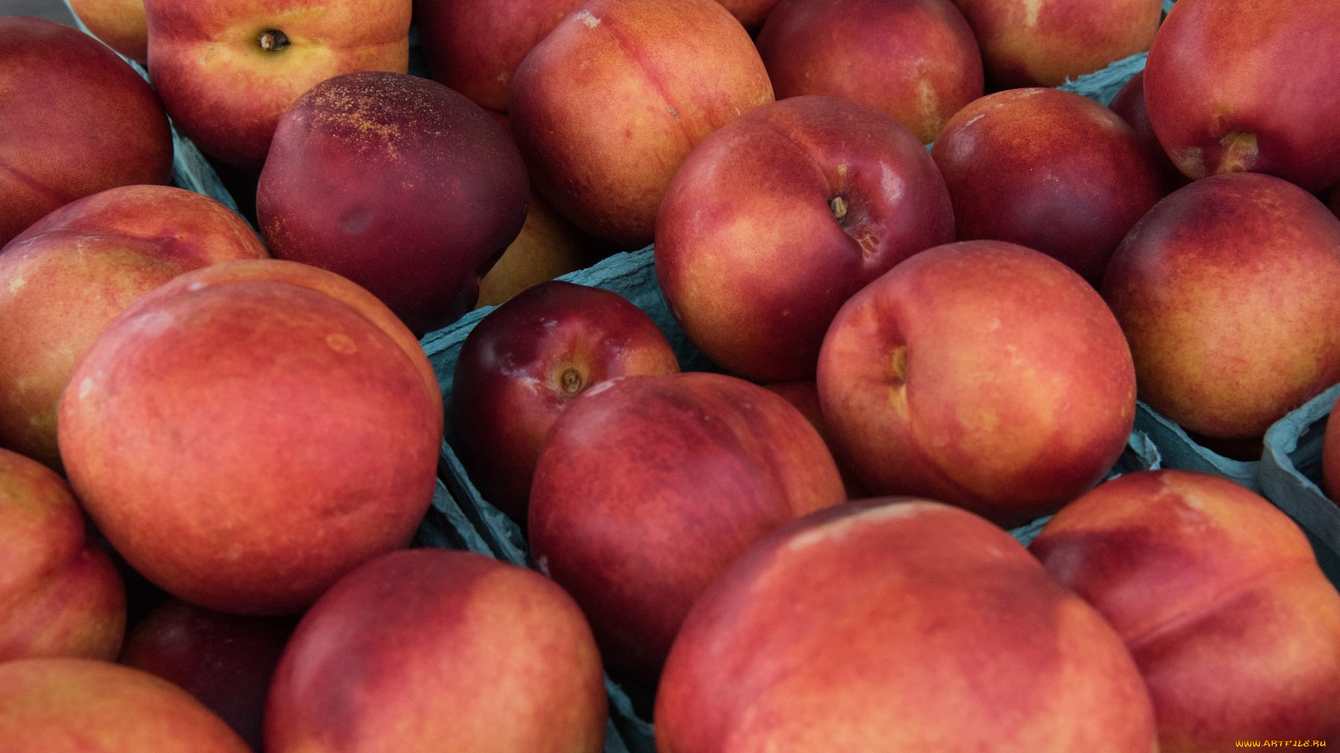 еда, персики, , сливы, , абрикосы, нектарины