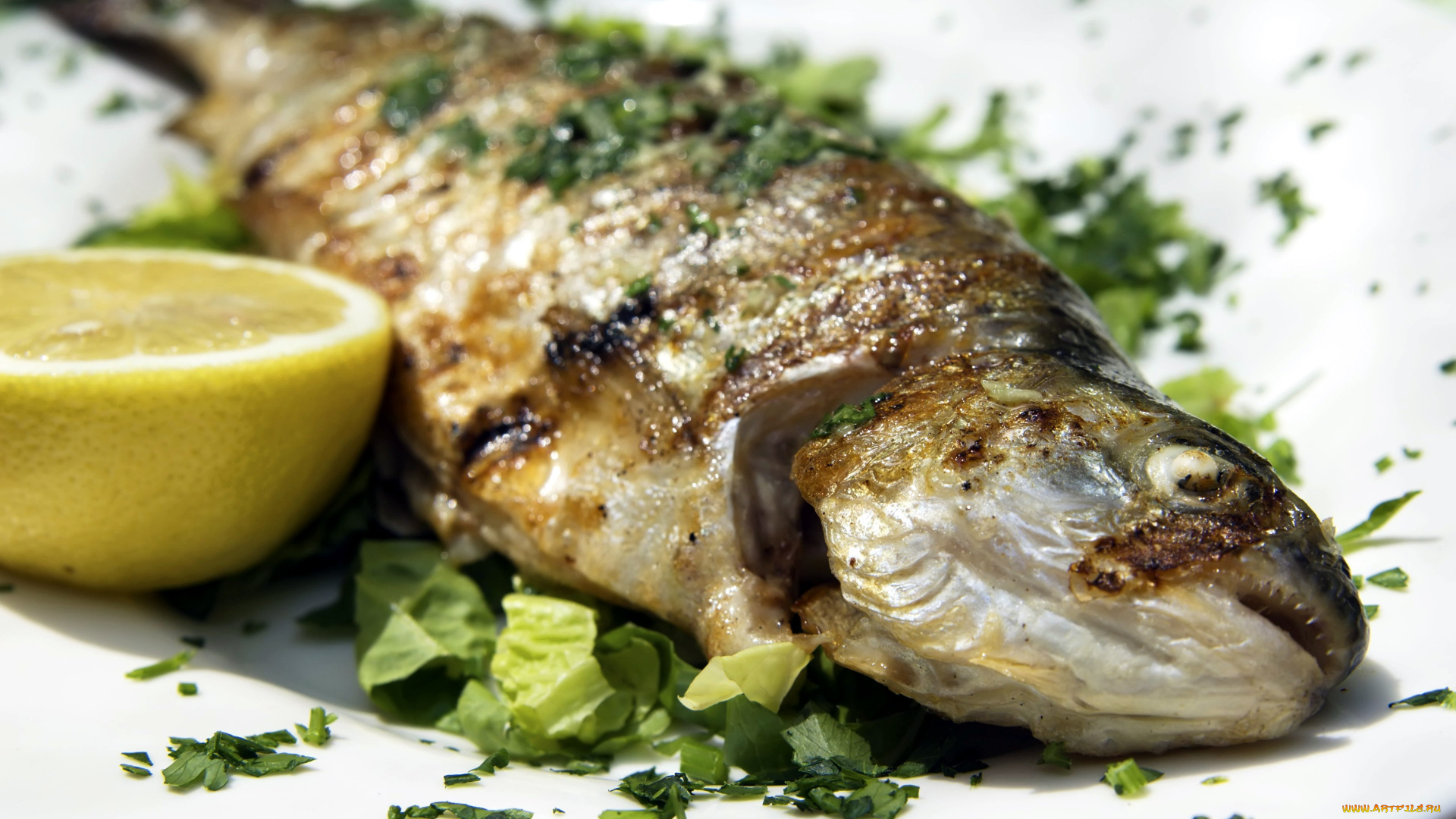 еда, рыбные, блюда, , с, морепродуктами, лимон, форель