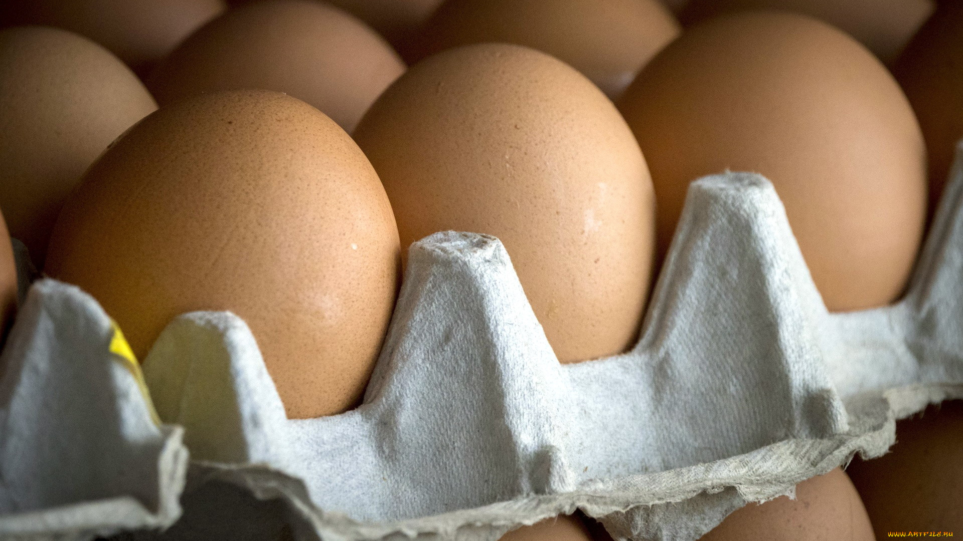 еда, Яйца, макро